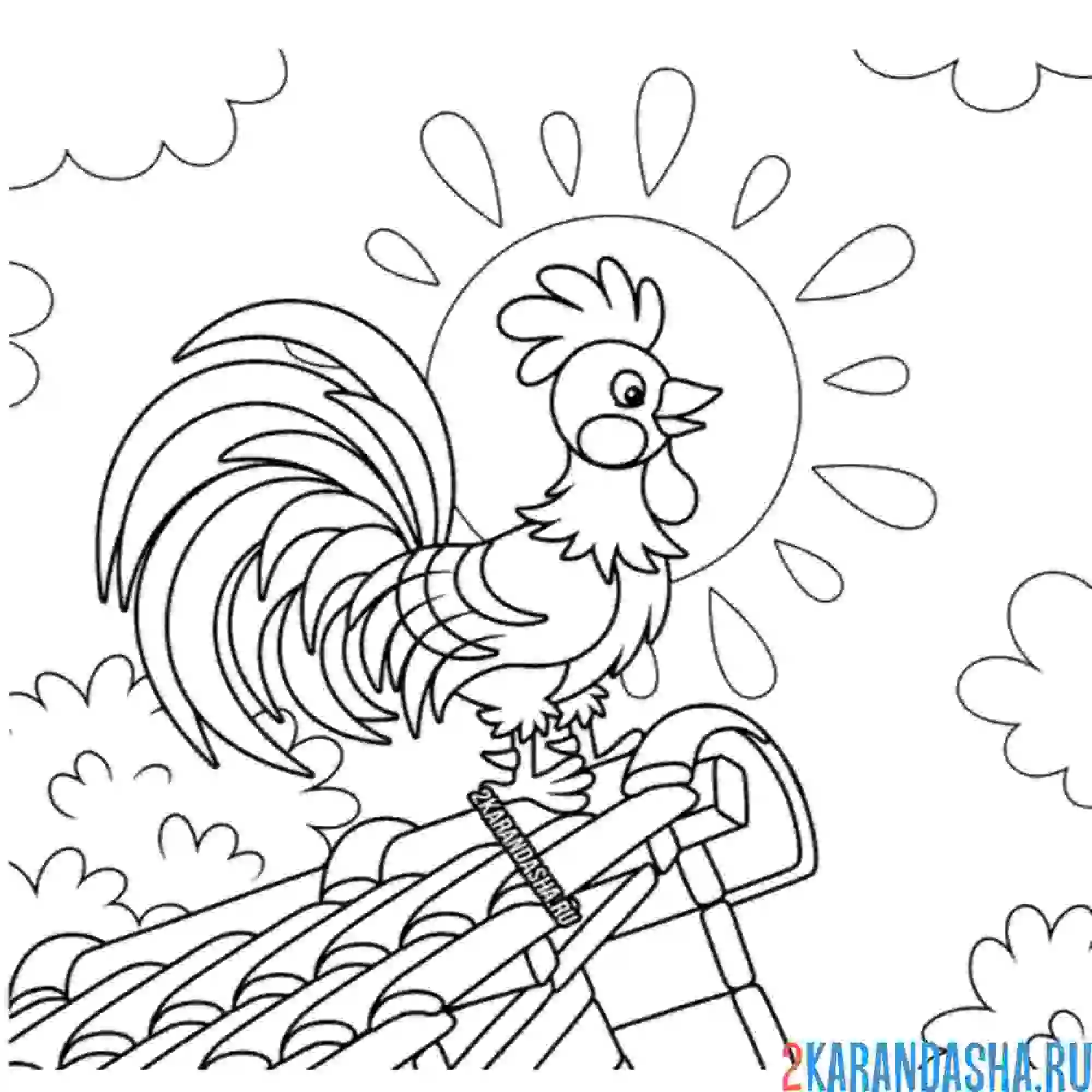 Раскраска петух на крыше на рассвете