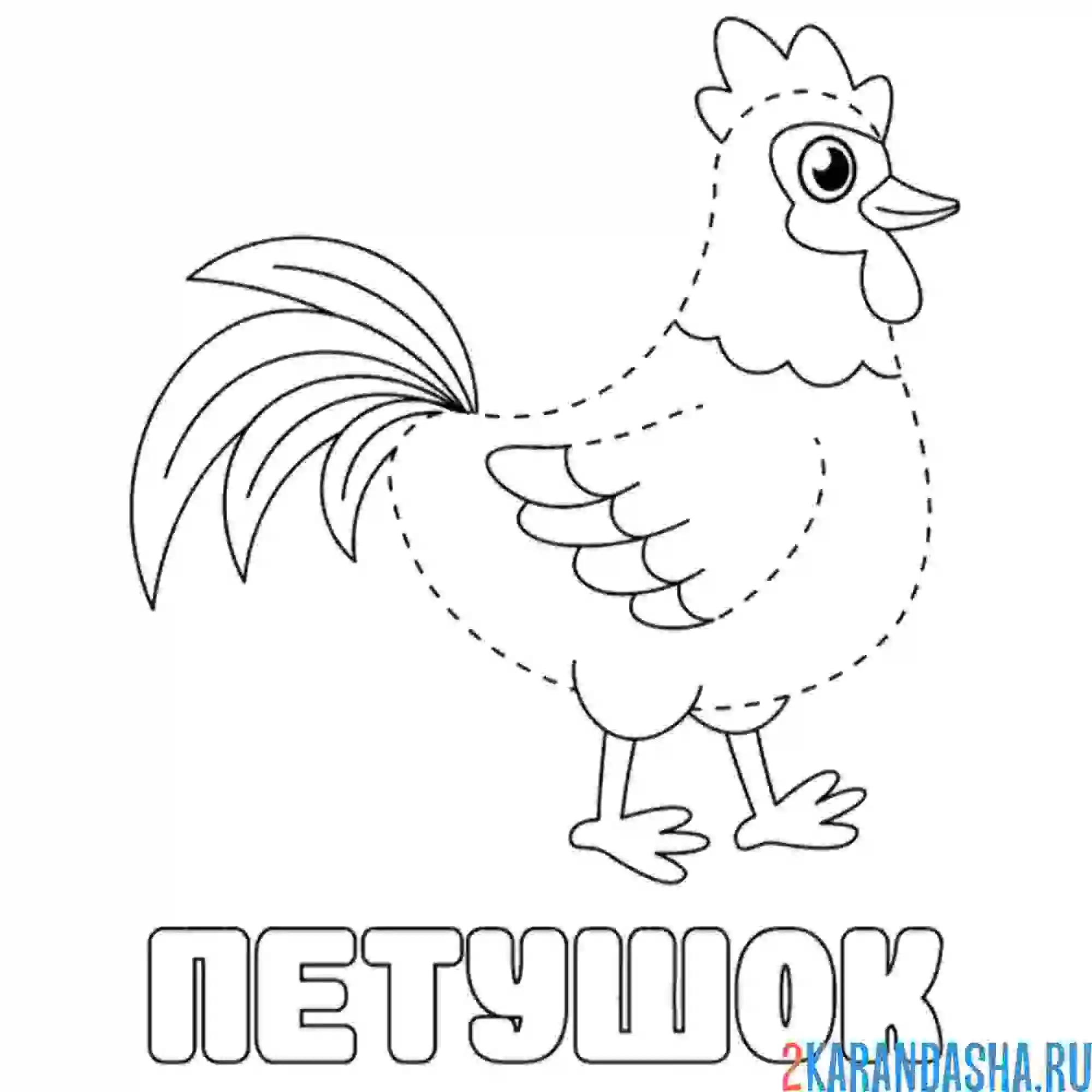 Раскраска обведи петушка