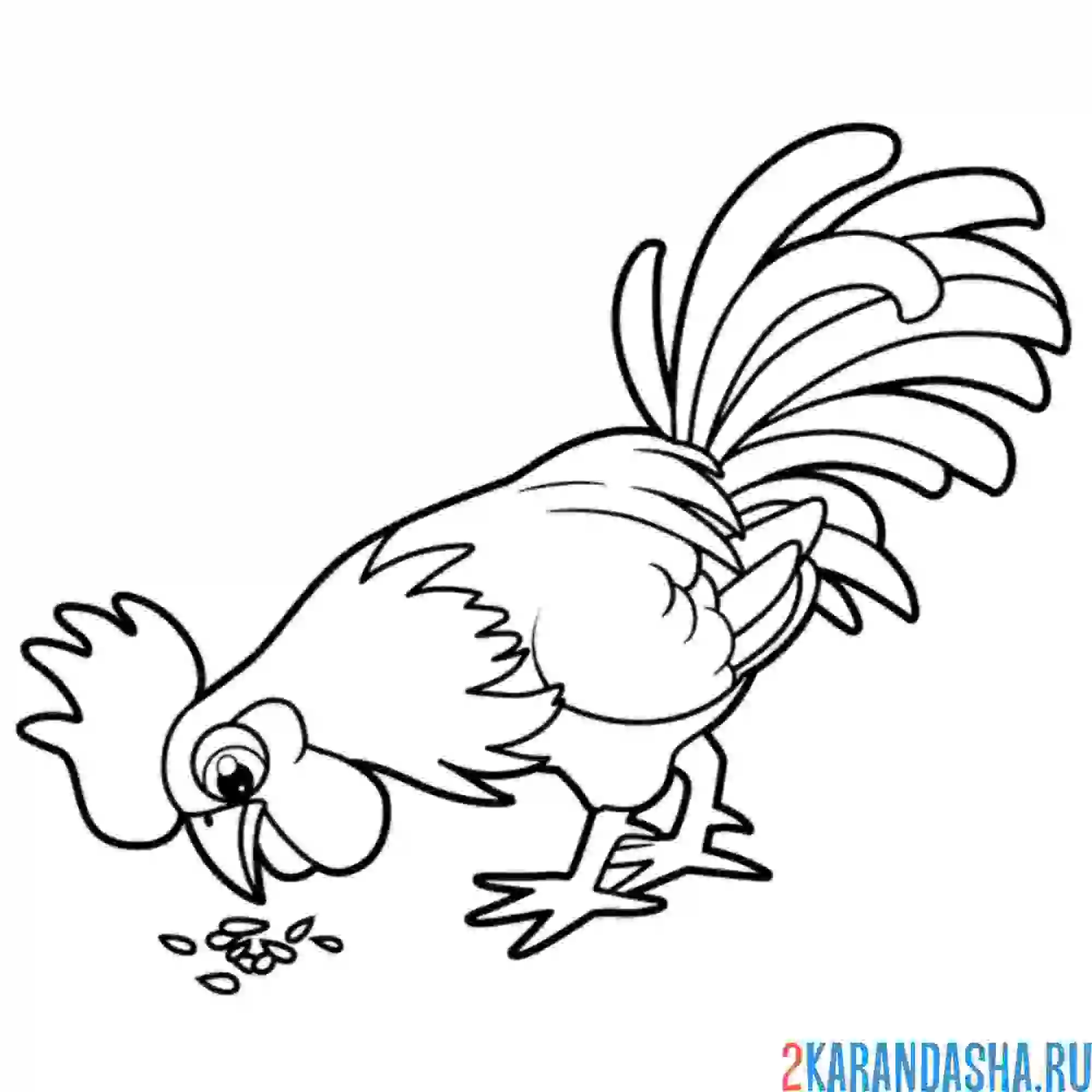 Раскраска петух ест зерно