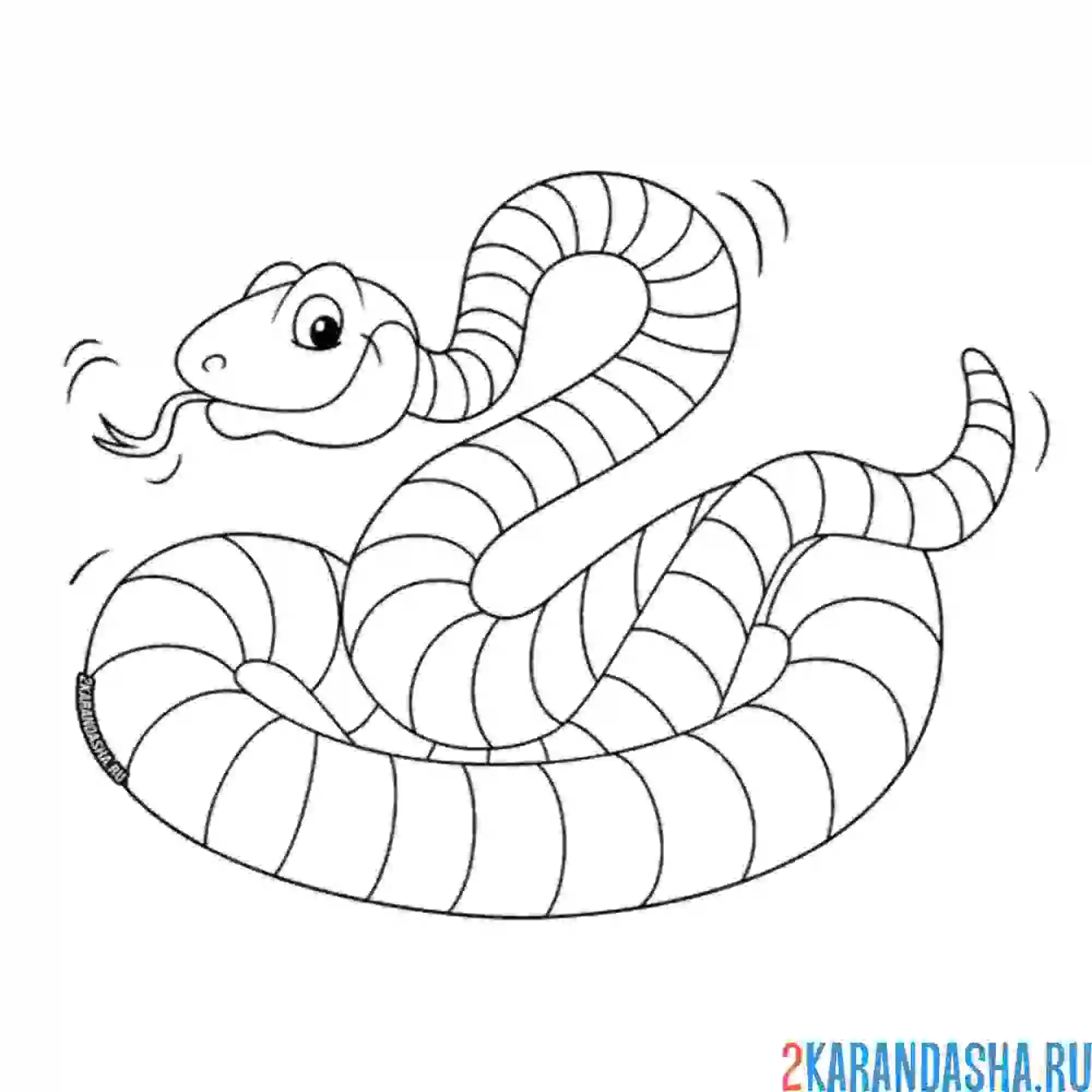 Раскраска полосатая змея
