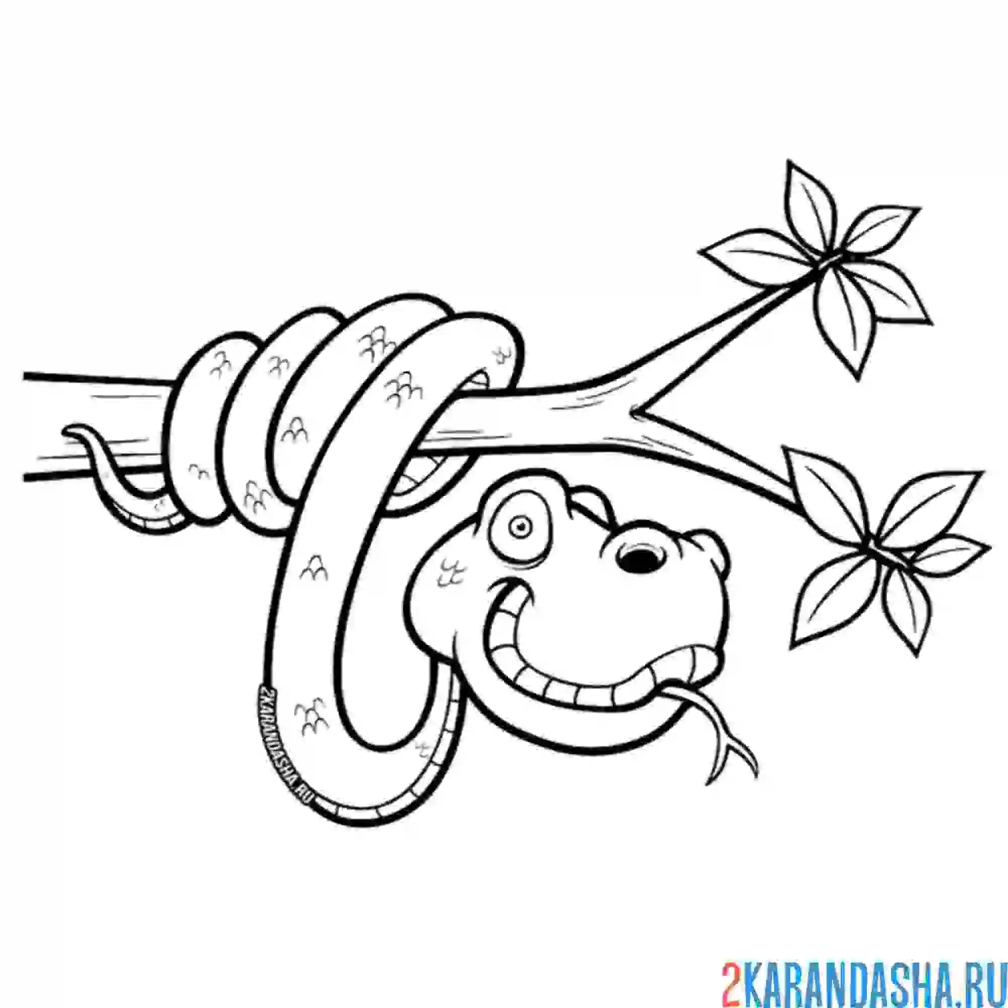 Раскраска змея на ветке