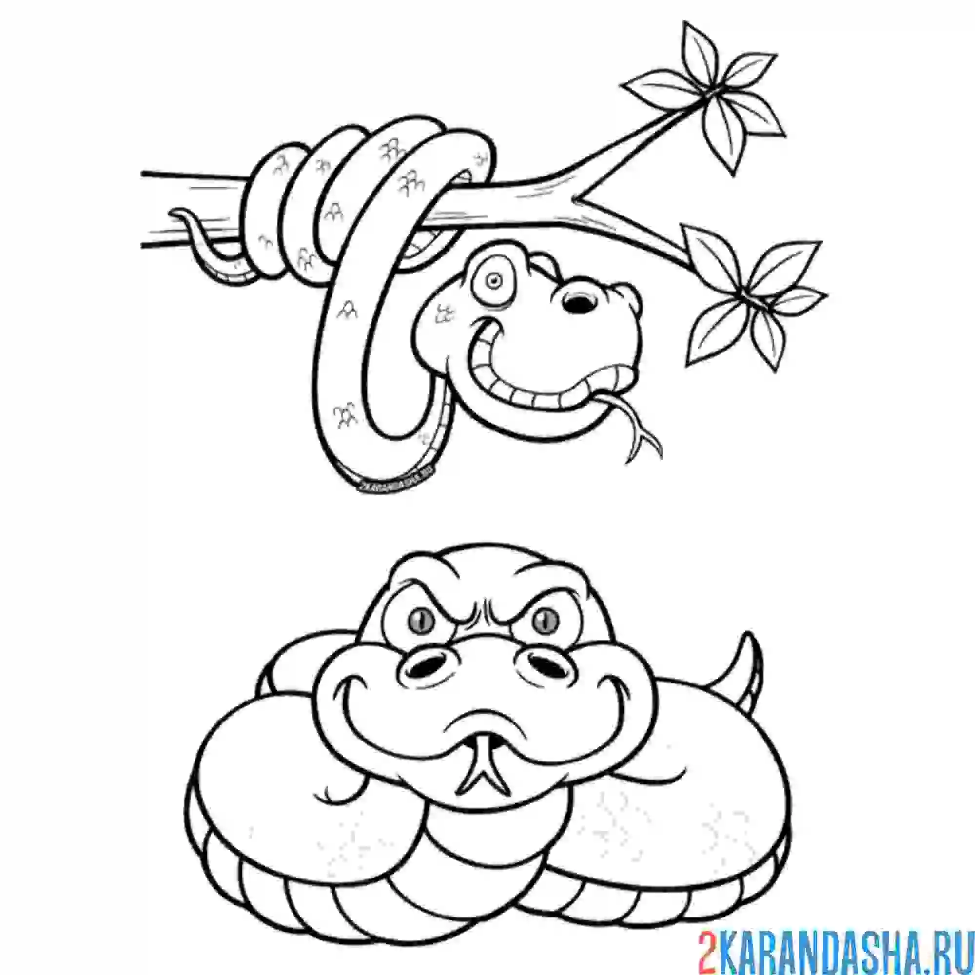 Раскраска две змеи