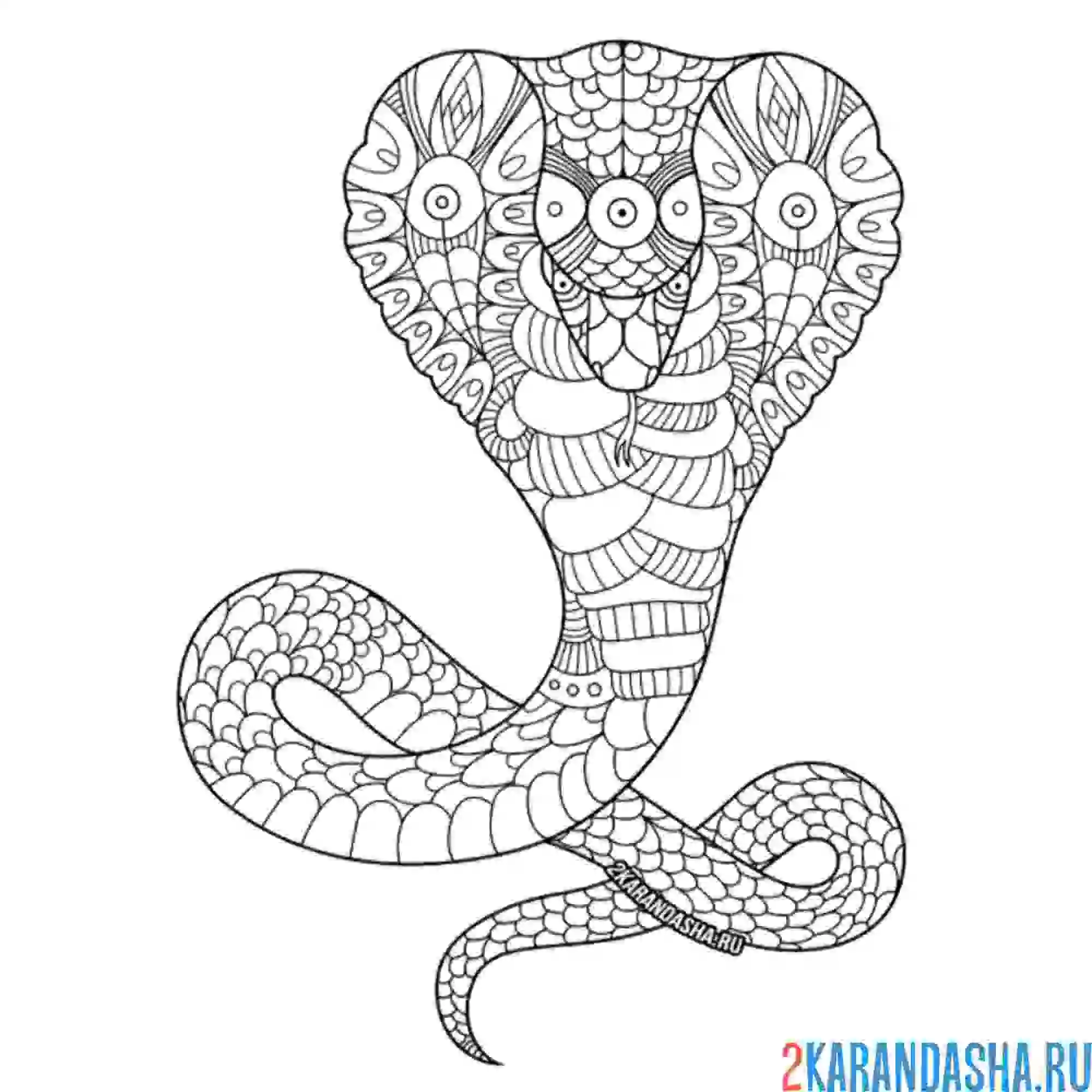 Раскраска кобра змея