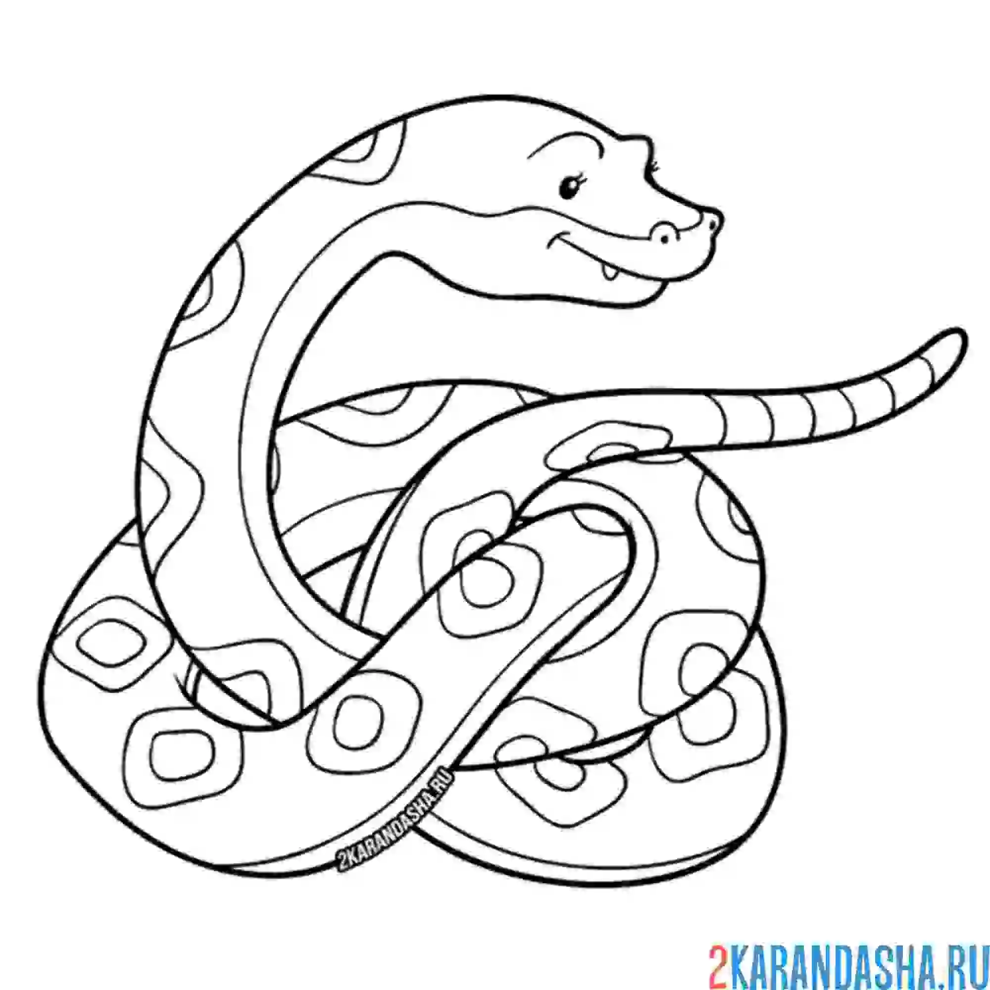 Раскраска питон змея