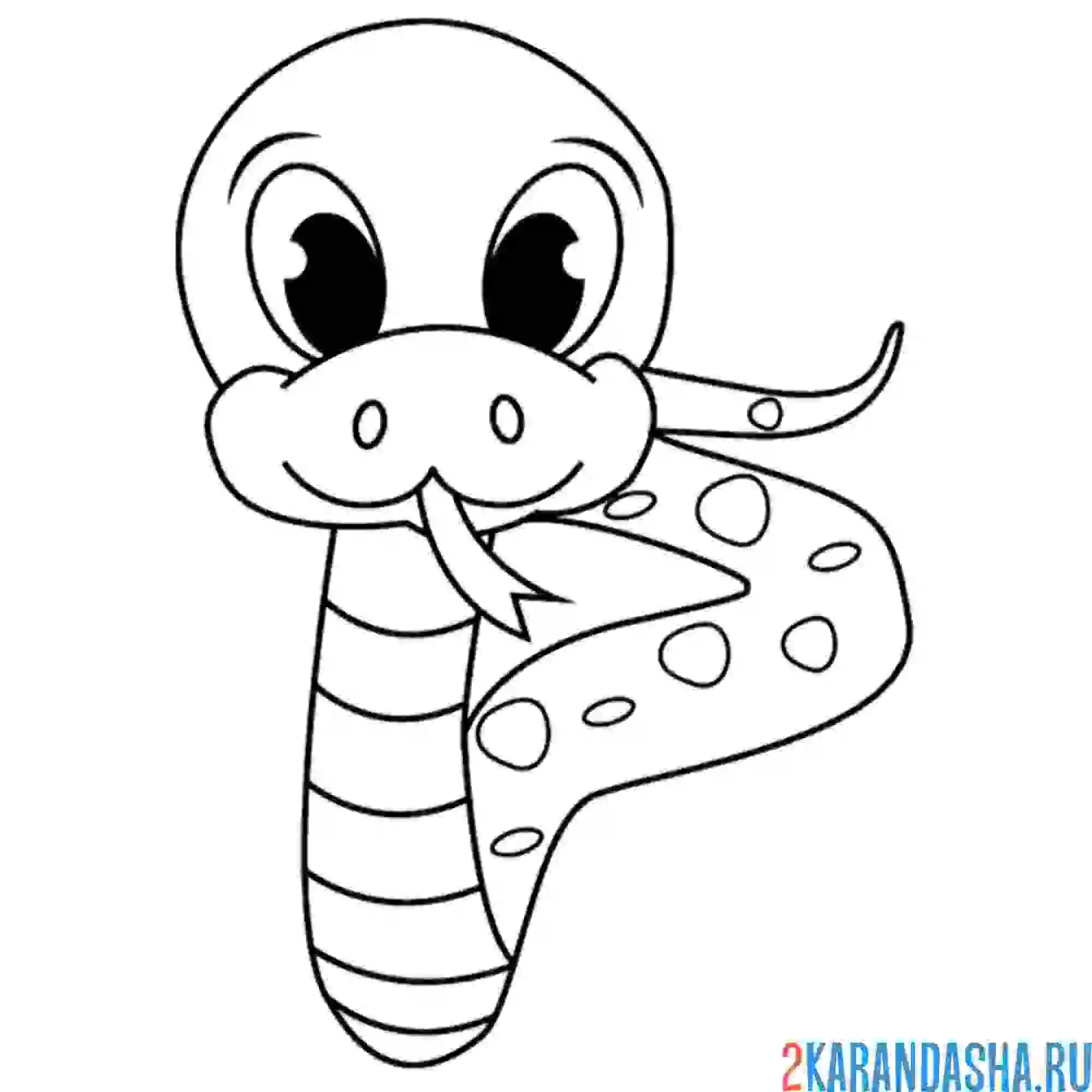 Раскраска маленький змееныш