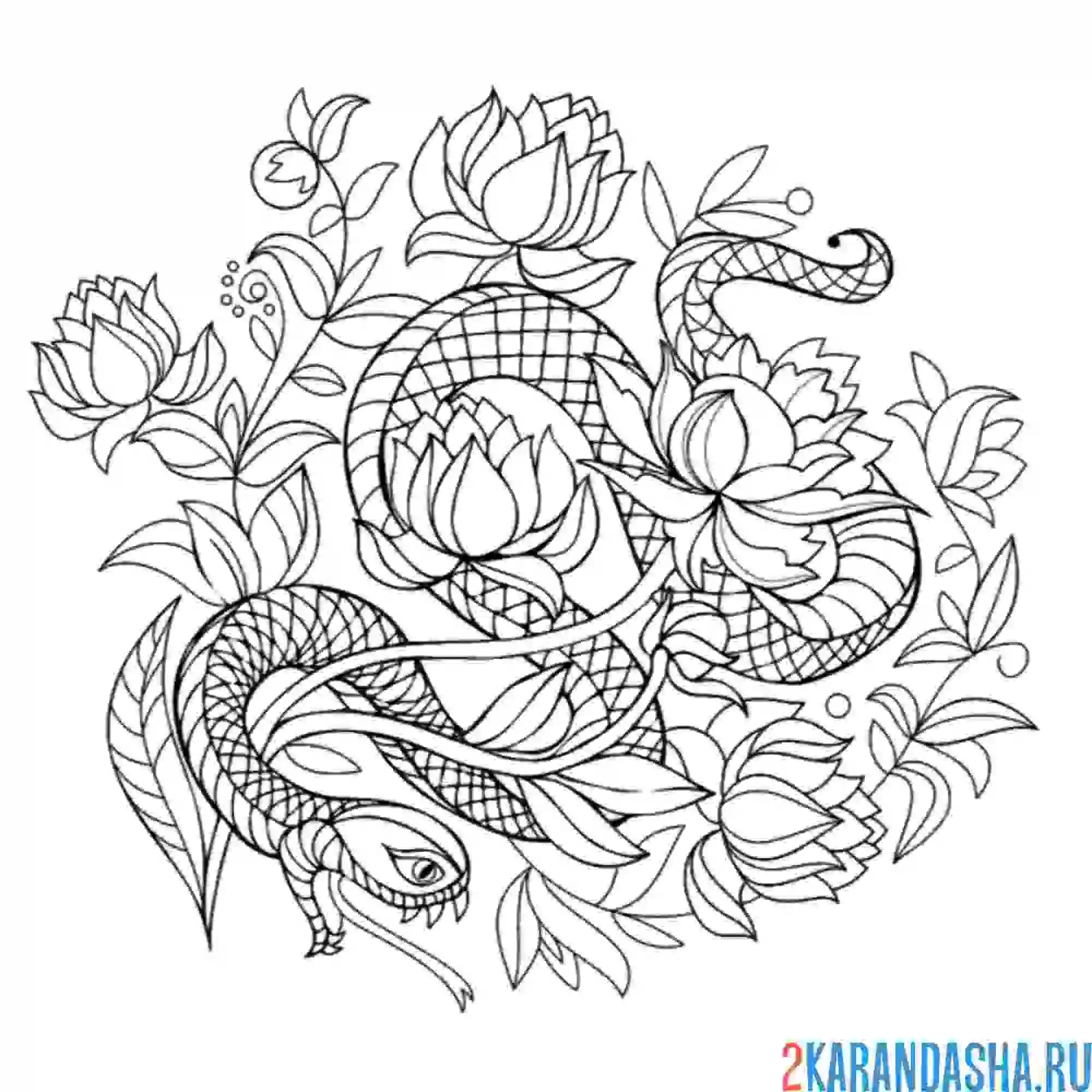 Раскраска змея в цветах тату