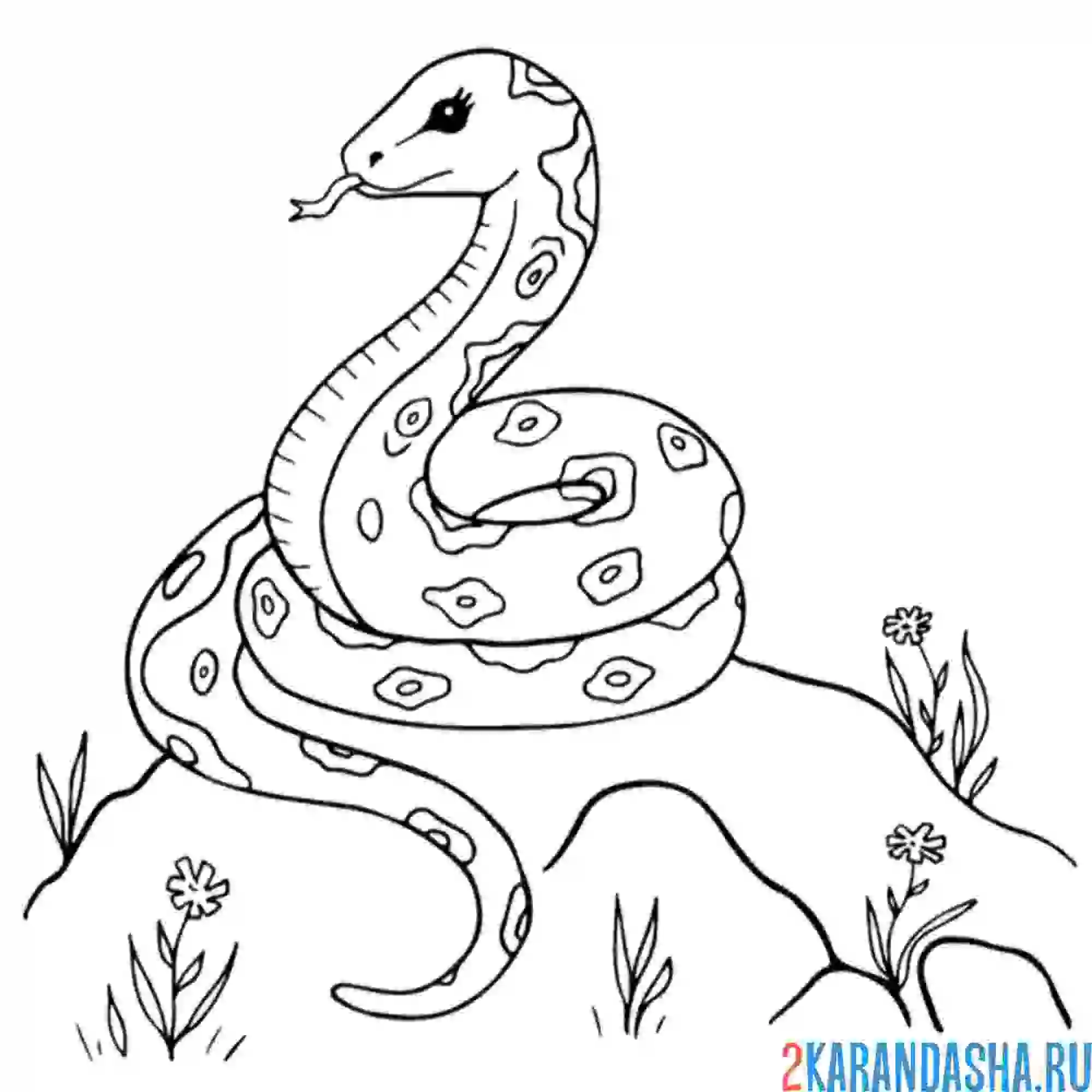 Раскраска змея на горе