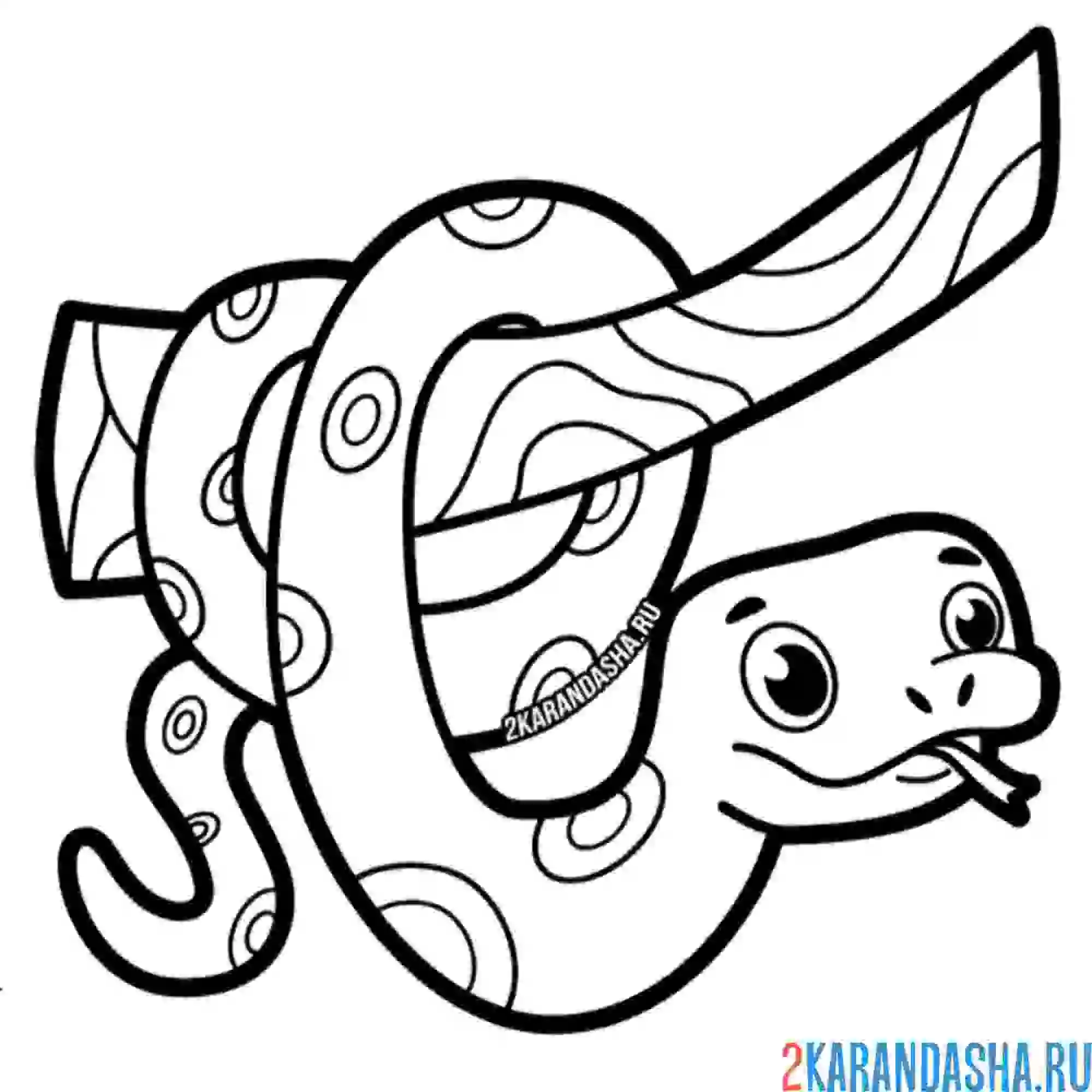 Раскраска удав на ветке