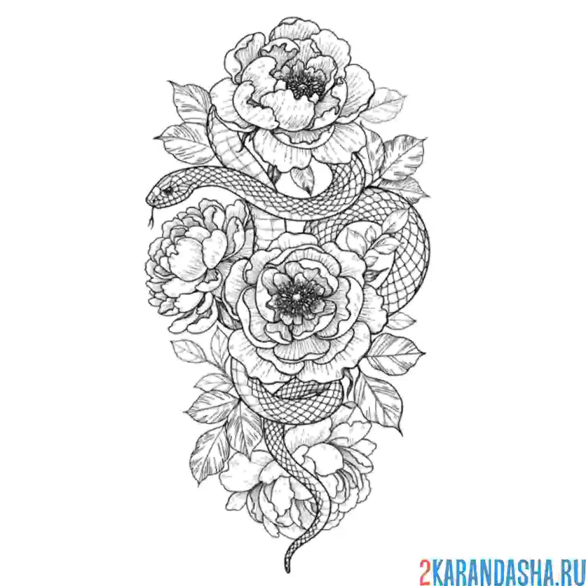 Раскраска картина тату змея и пионы