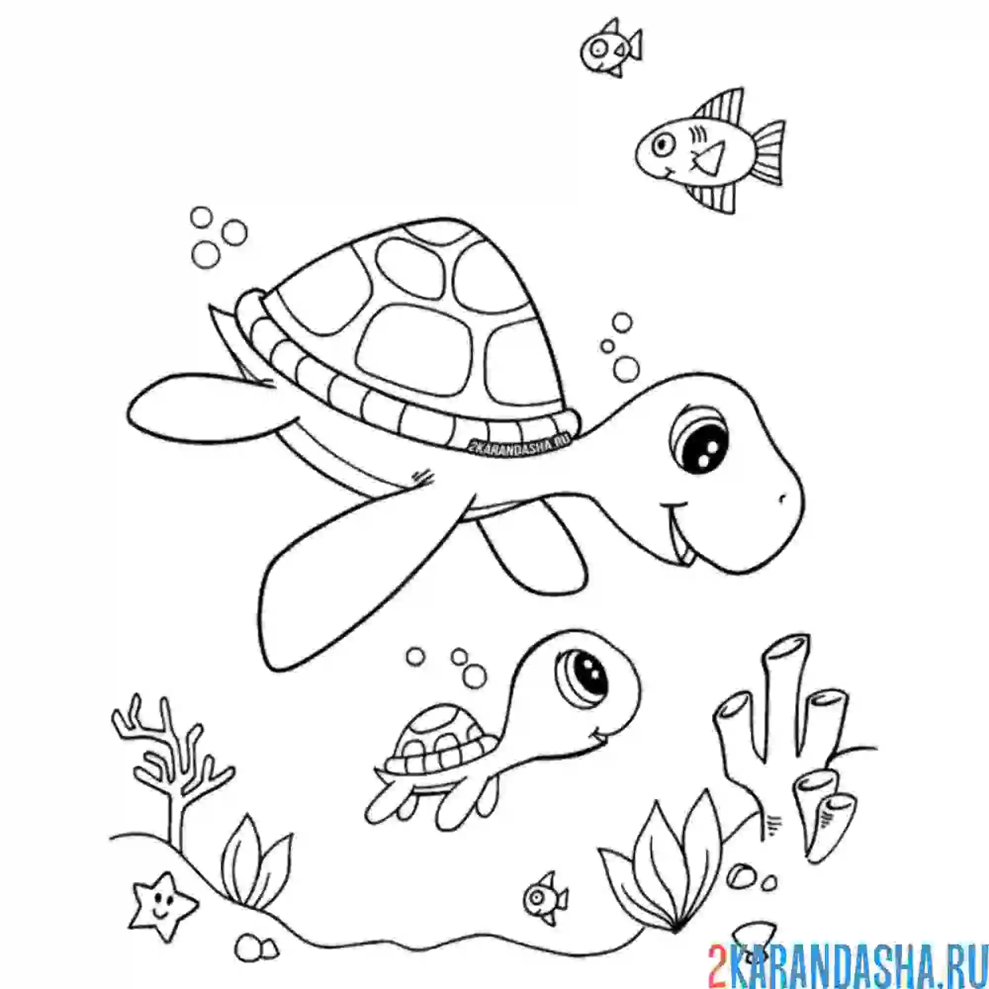 Раскраска мама черепаха и ребенок