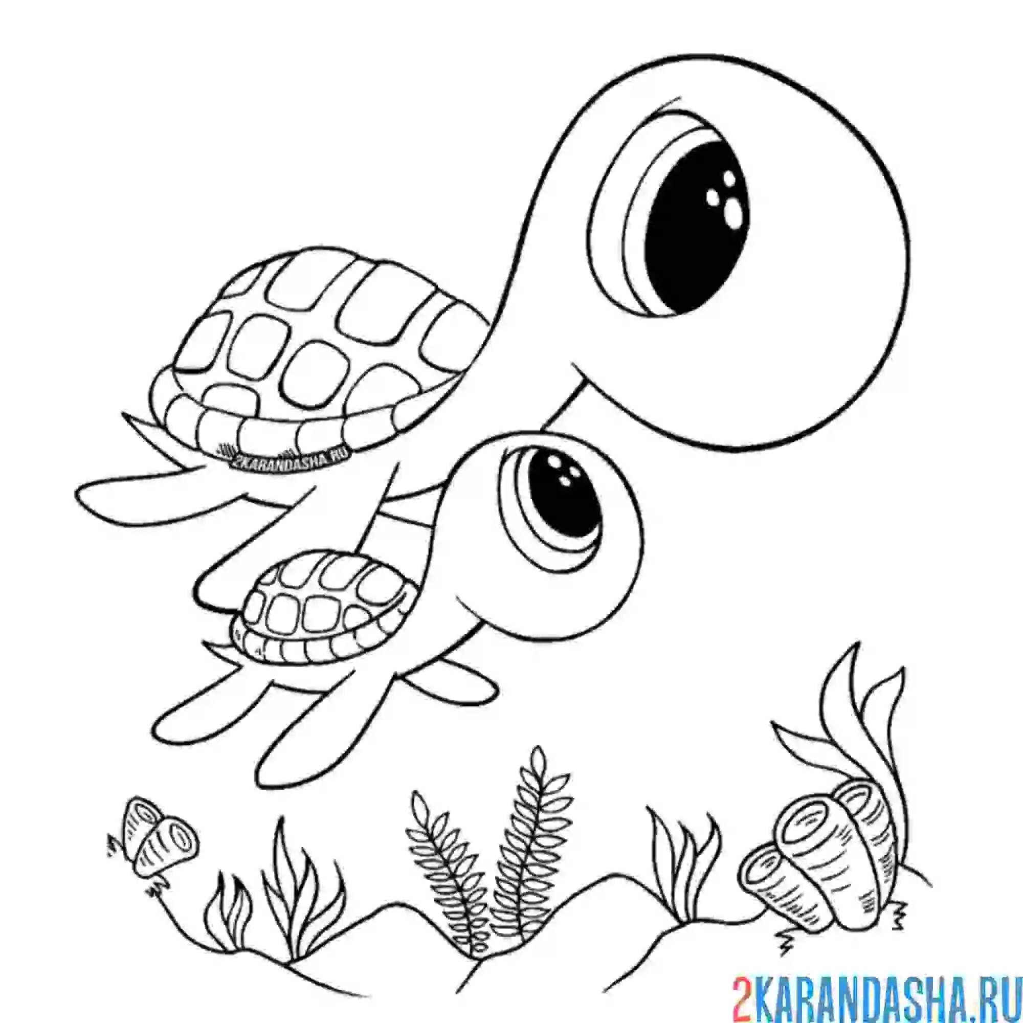 Раскраска мама и малыш черепашонок в море