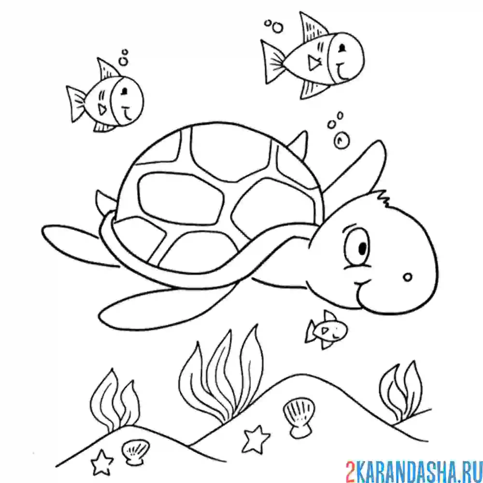 Раскраска черепаха плавает с рыбками