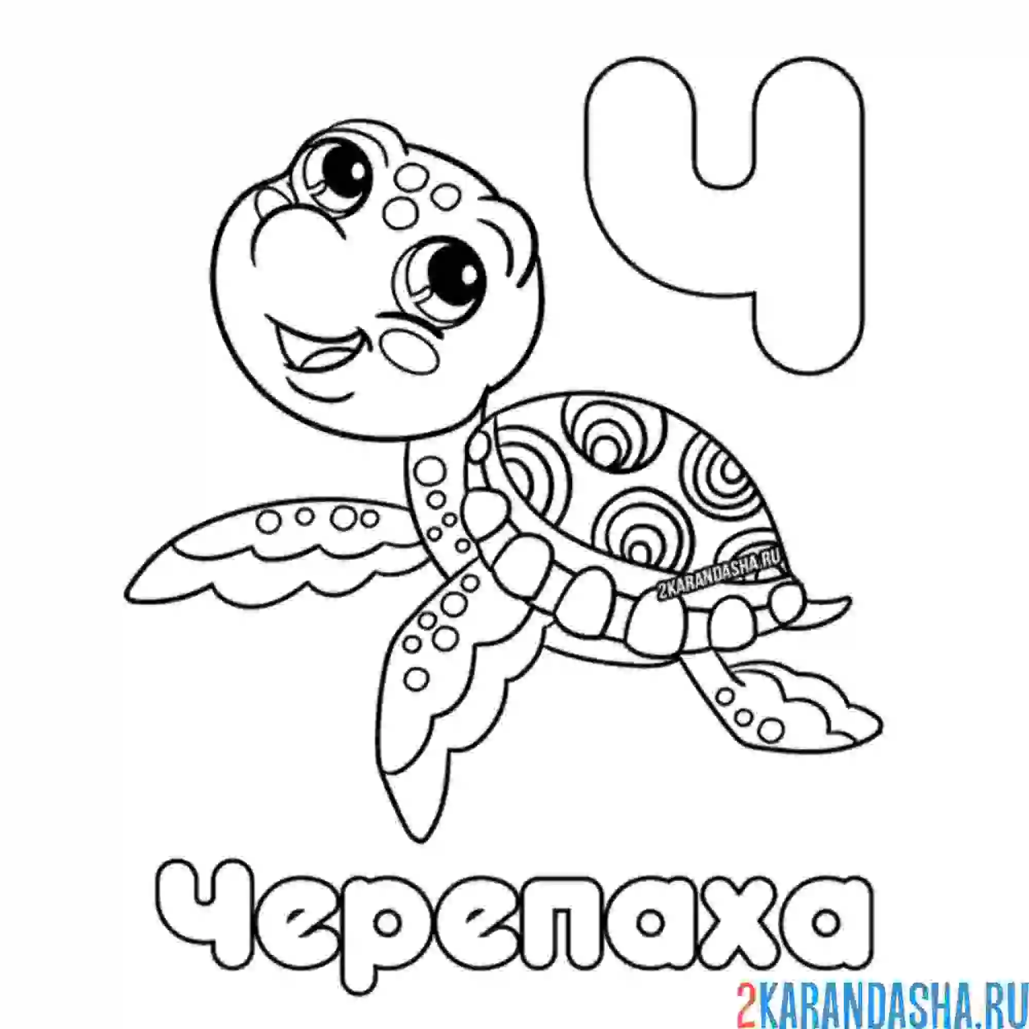Раскраска буква ч черепаха