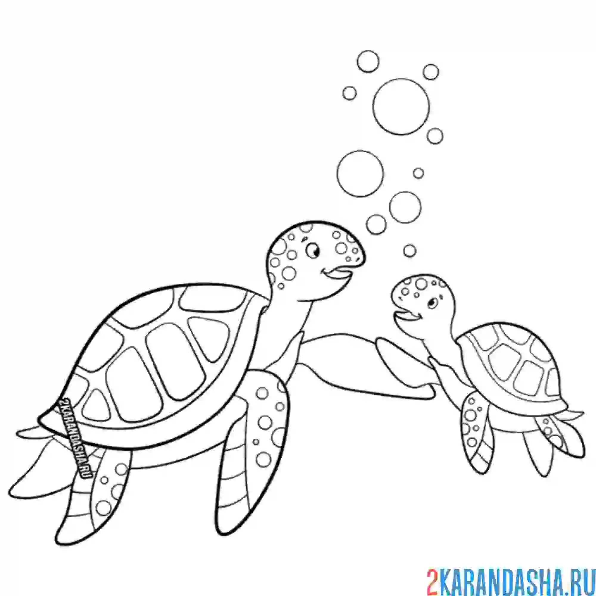 Раскраска черепахи мама и ребенок