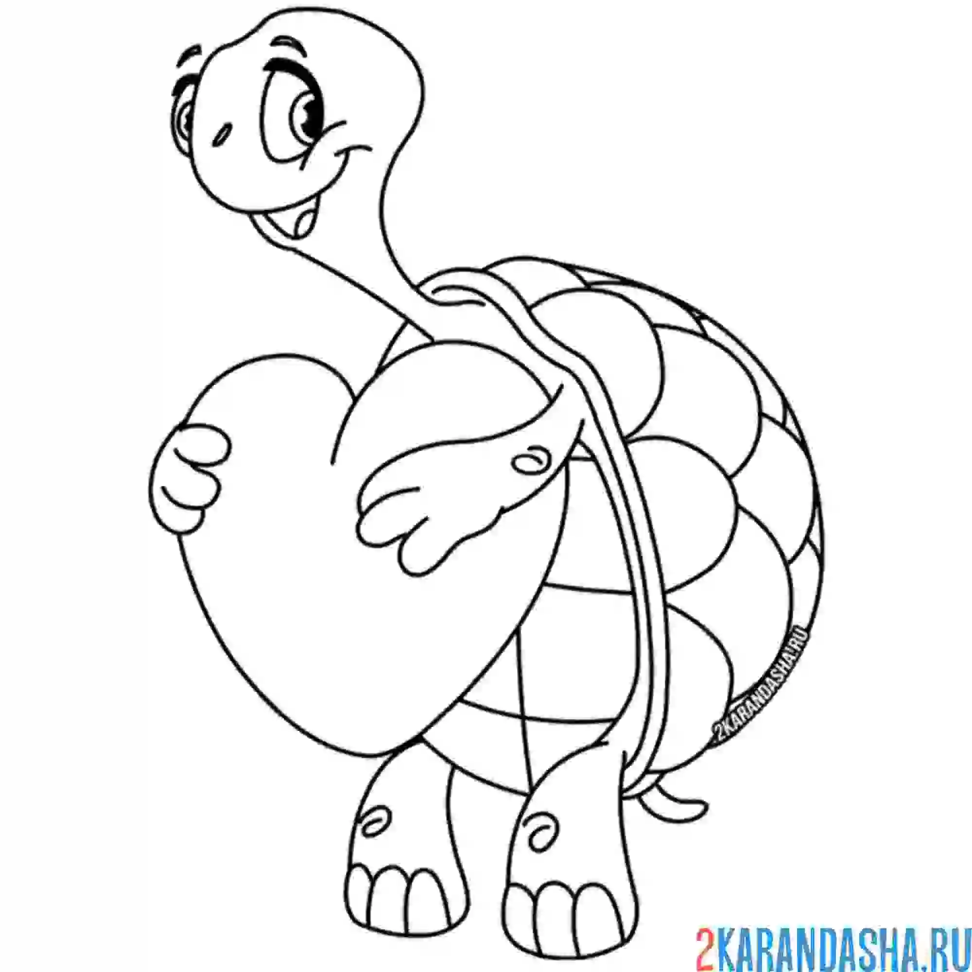 Раскраска черепаха держит сердечко