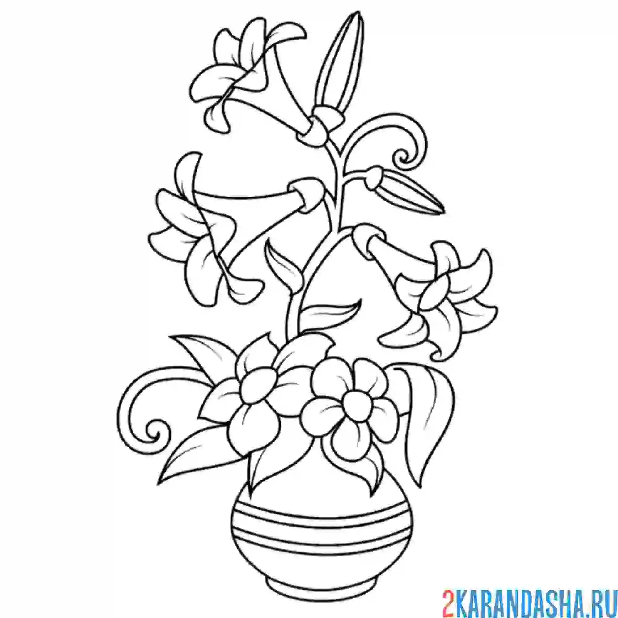 Раскраска ваза с необычными цветами