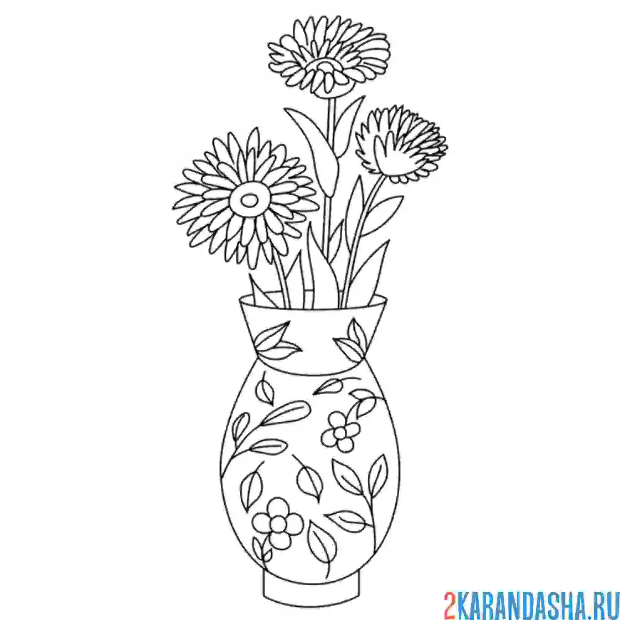 Раскраска астры в вазе