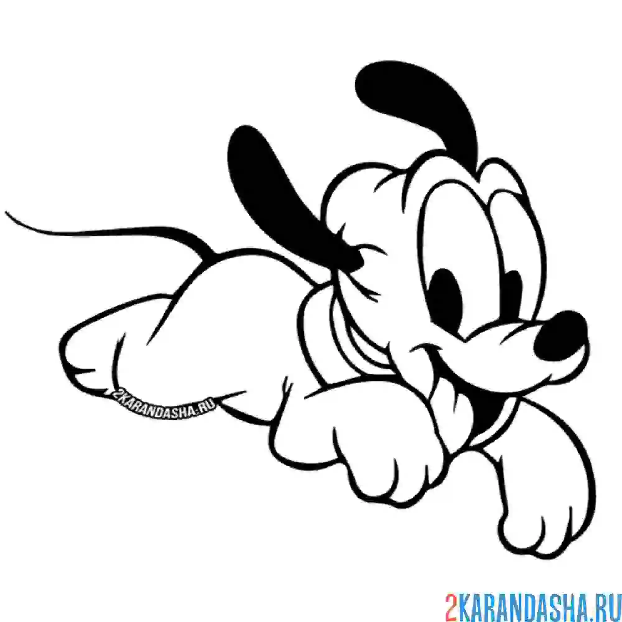 Раскраска совсем маленький плуто