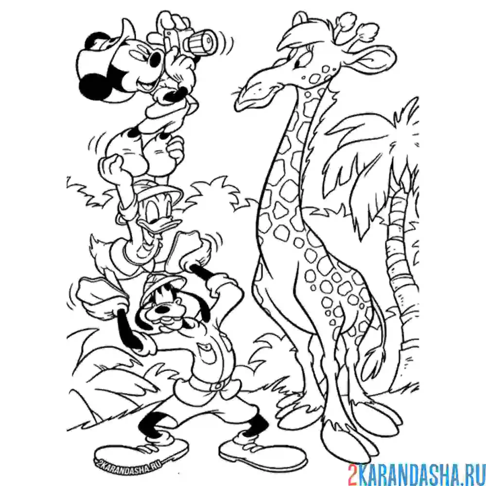 Раскраска микки маус и друзья с жирафом