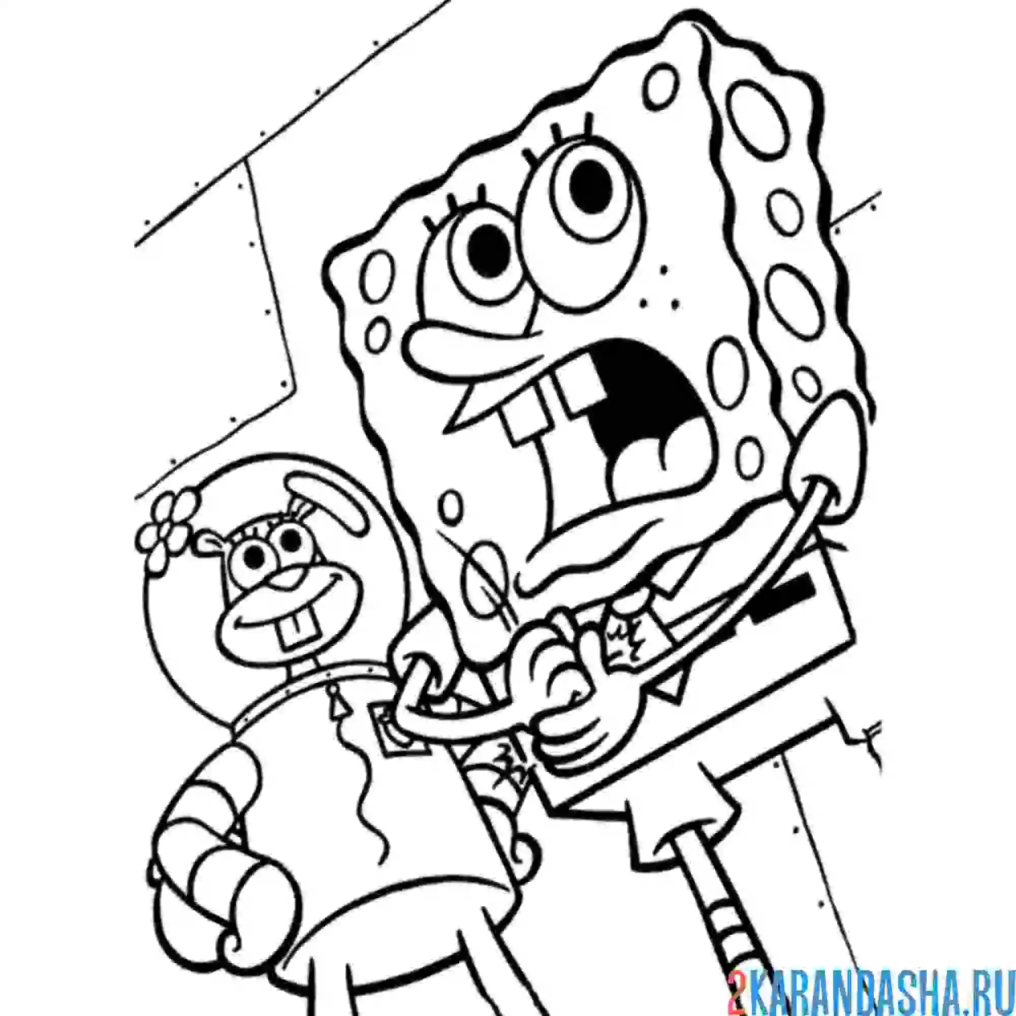 Раскраска сэнди и спанч