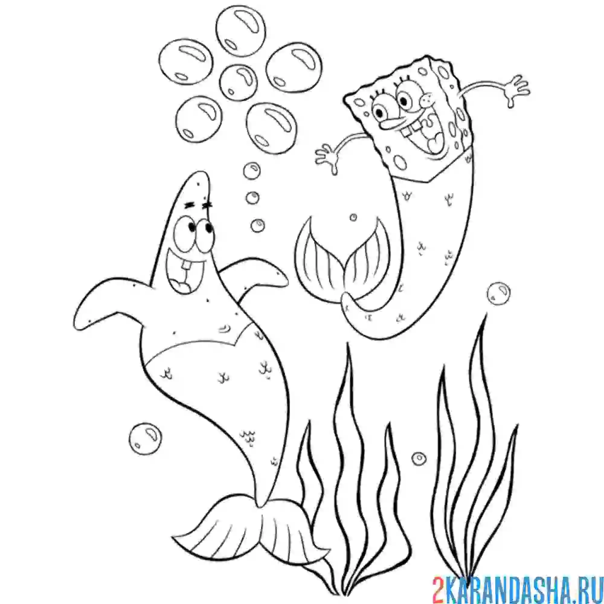 Раскраска губка боб и патрик русалки