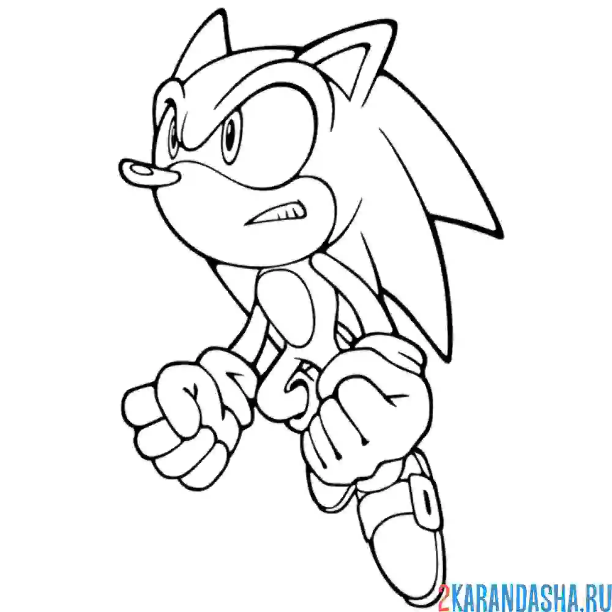 Раскраска соник взлетает