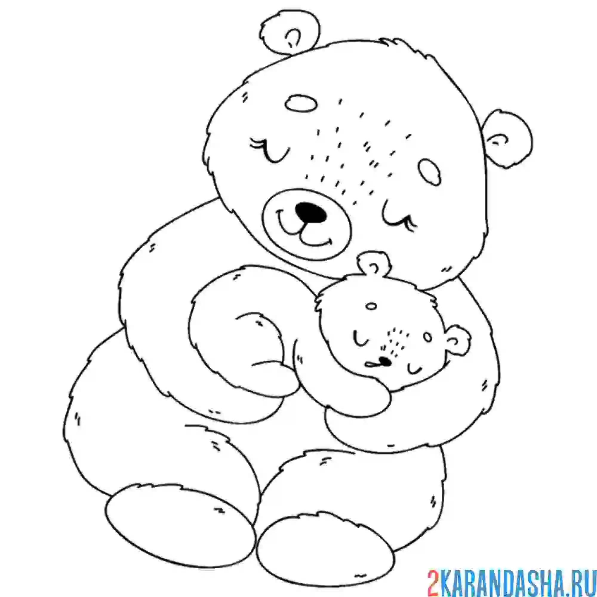 Раскраска мама медведь