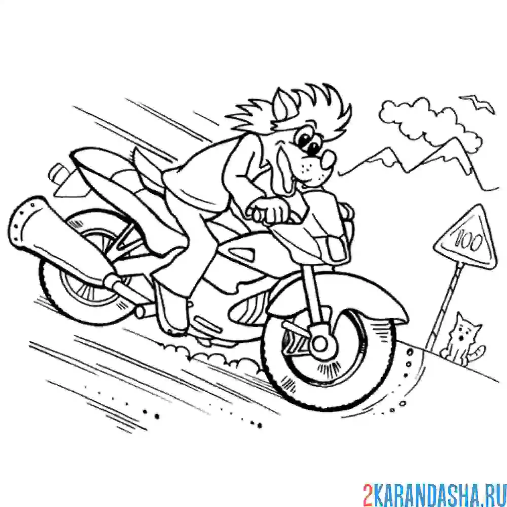 Раскраска волк мчится на мотоцикле