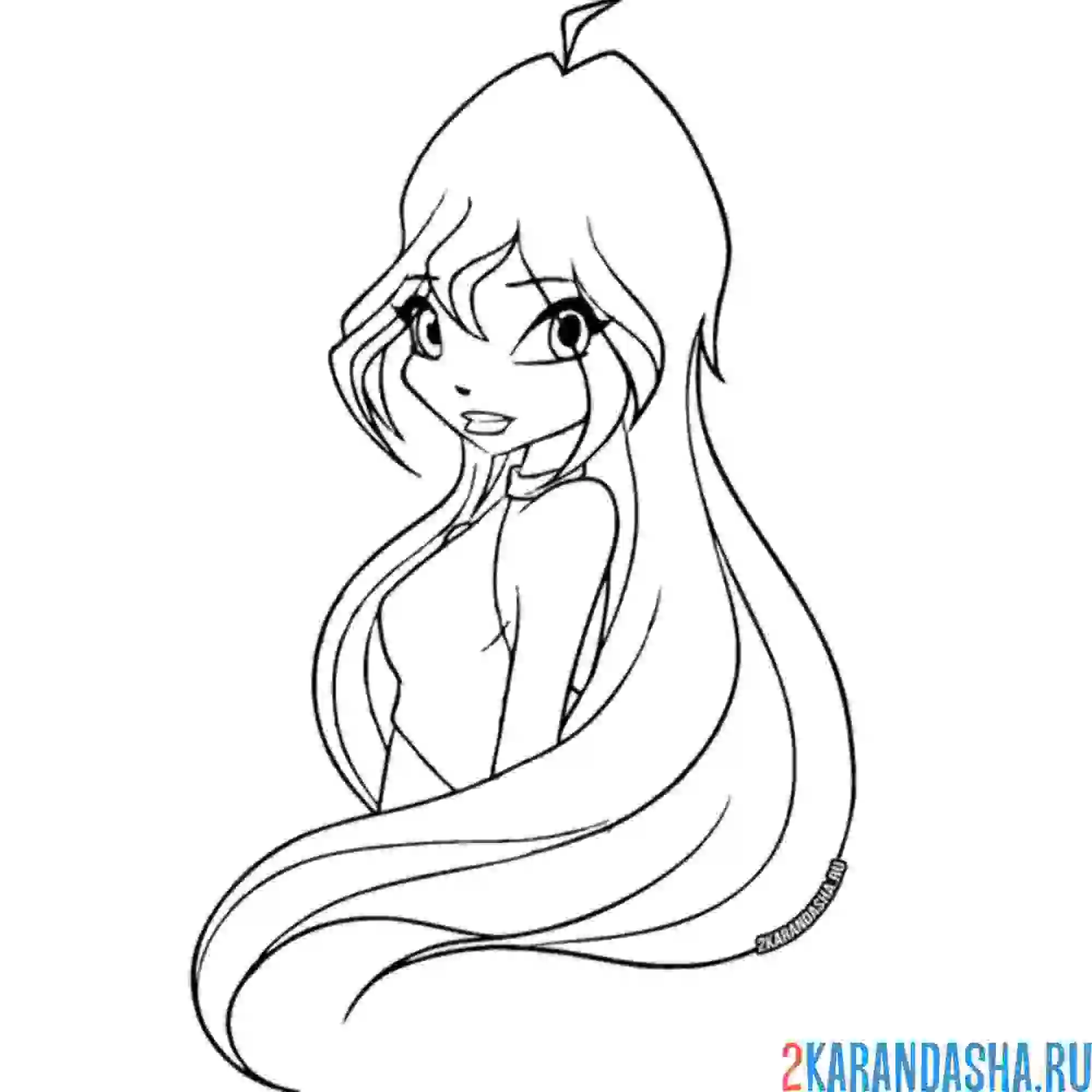 Раскраска блум портрет