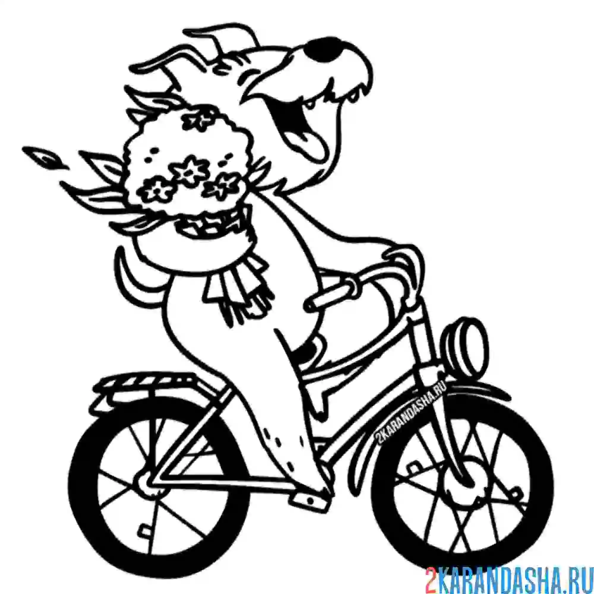 Раскраска пес с цветами на велосипеде