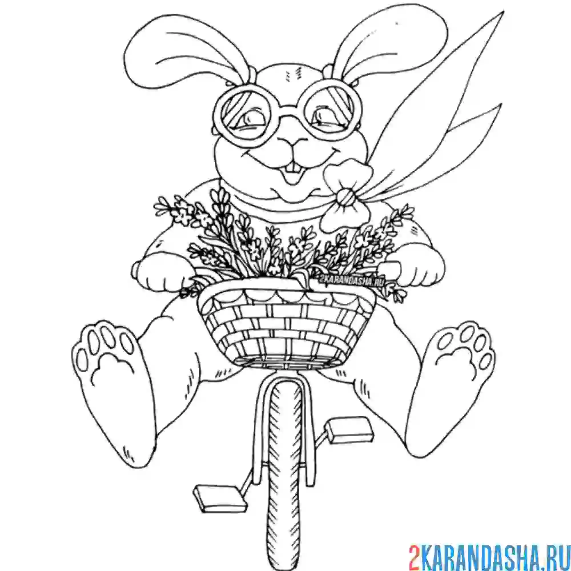 Раскраска заяц на велосипеде с корзинкой