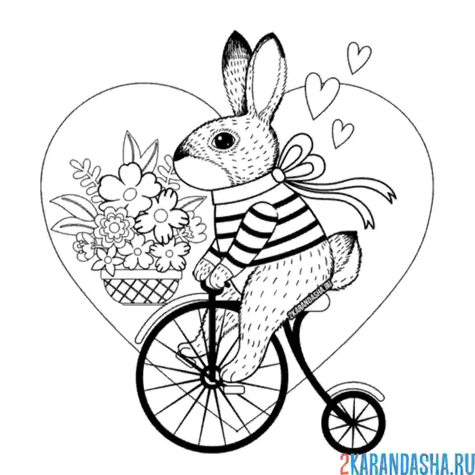 Раскраска милый зайка на велосипеде