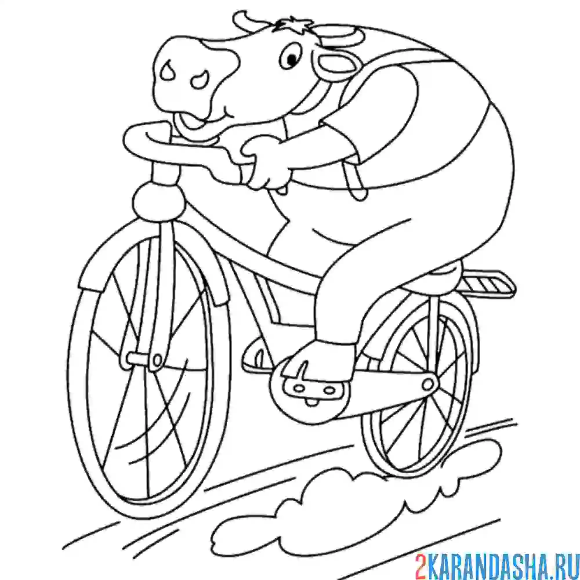 Раскраска бык на велосипеде