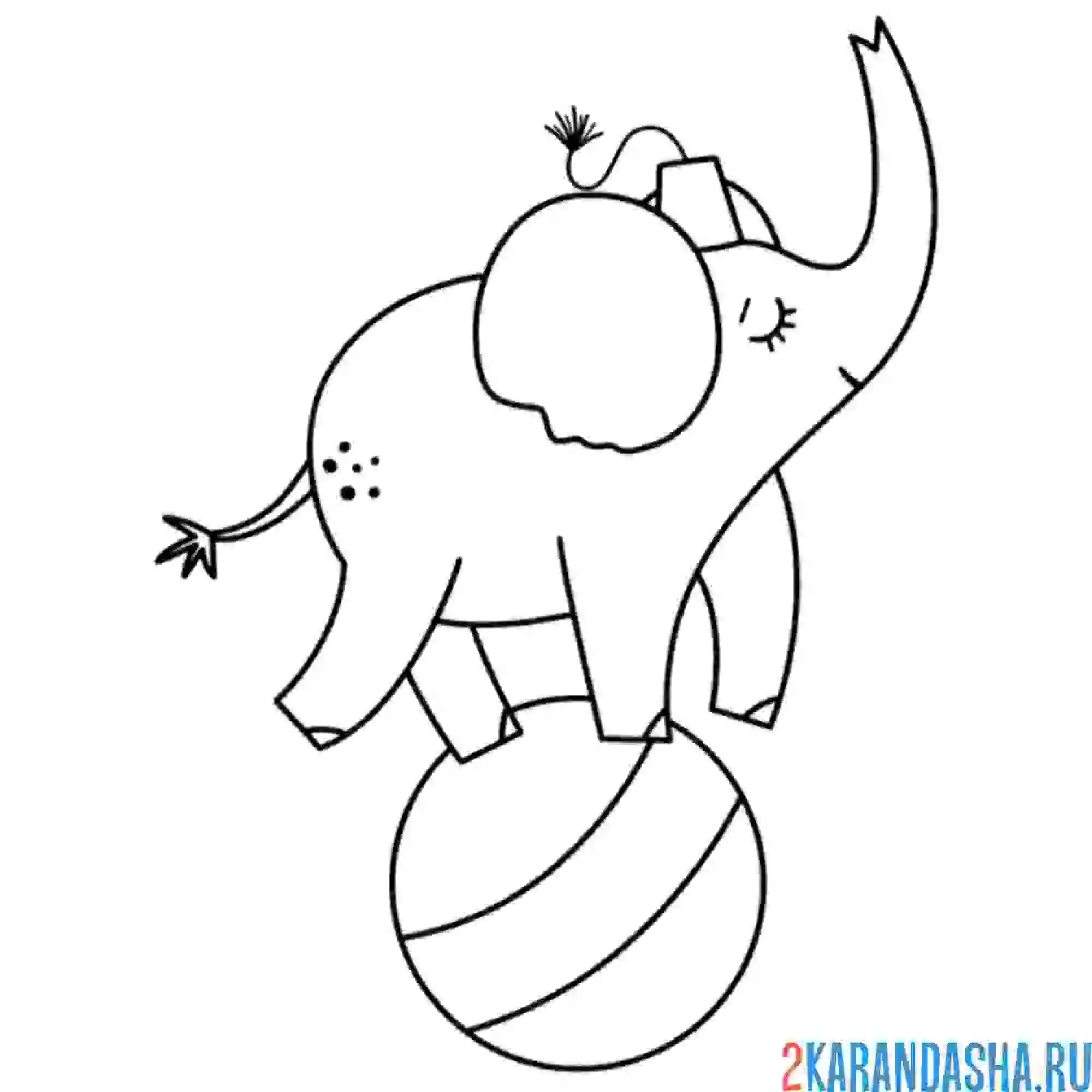 Раскраска слоник на мяче