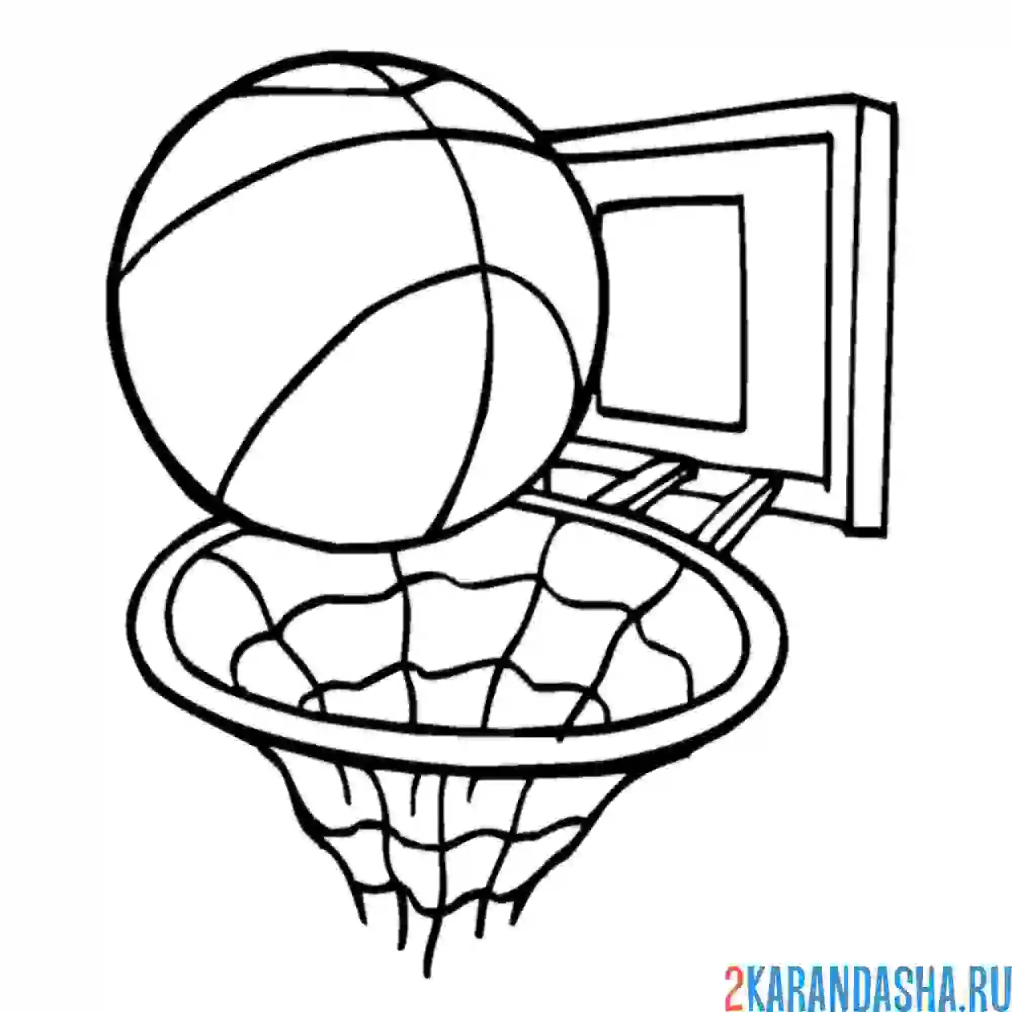 Раскраска баскетбольный мяч в кольце