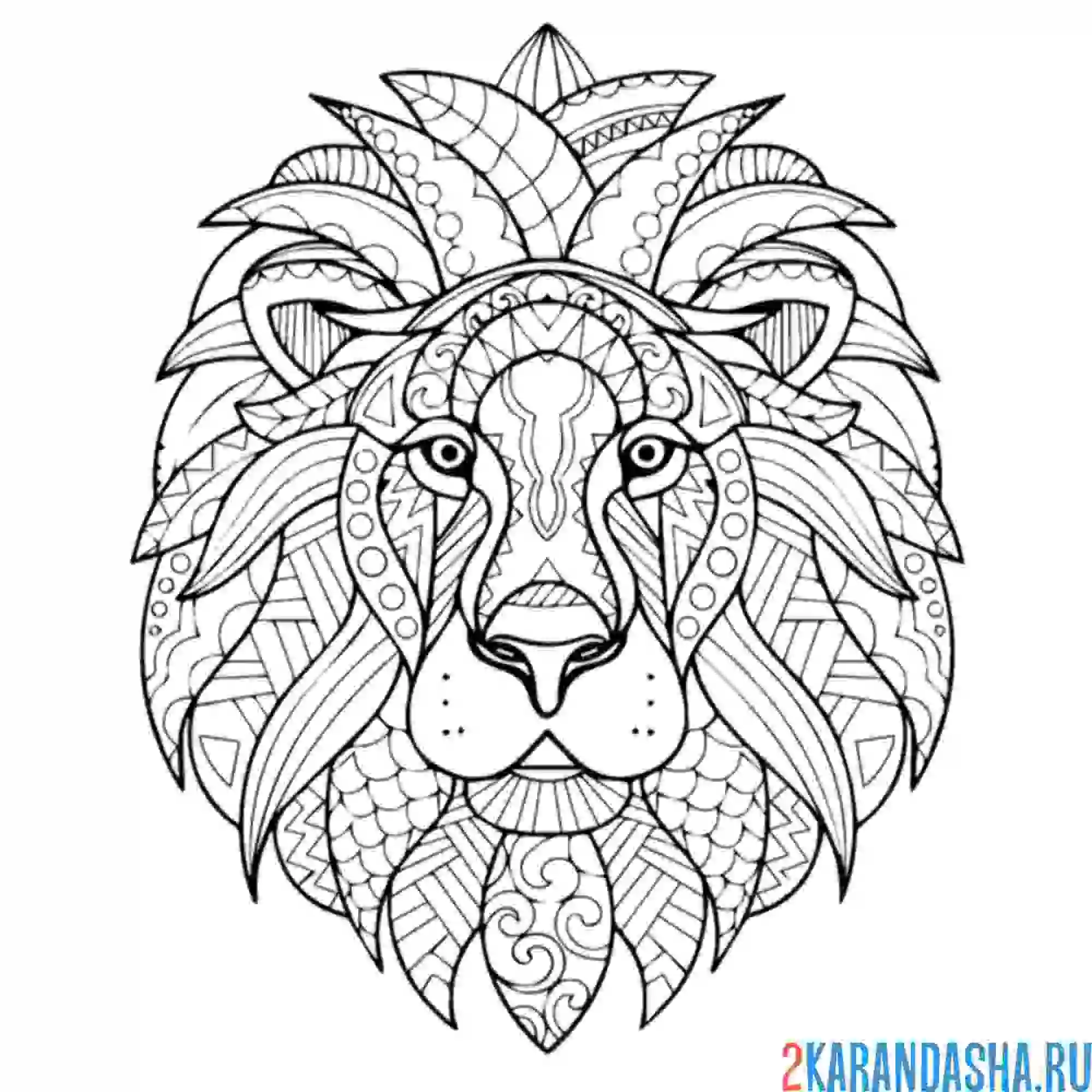 Раскраска лев голова