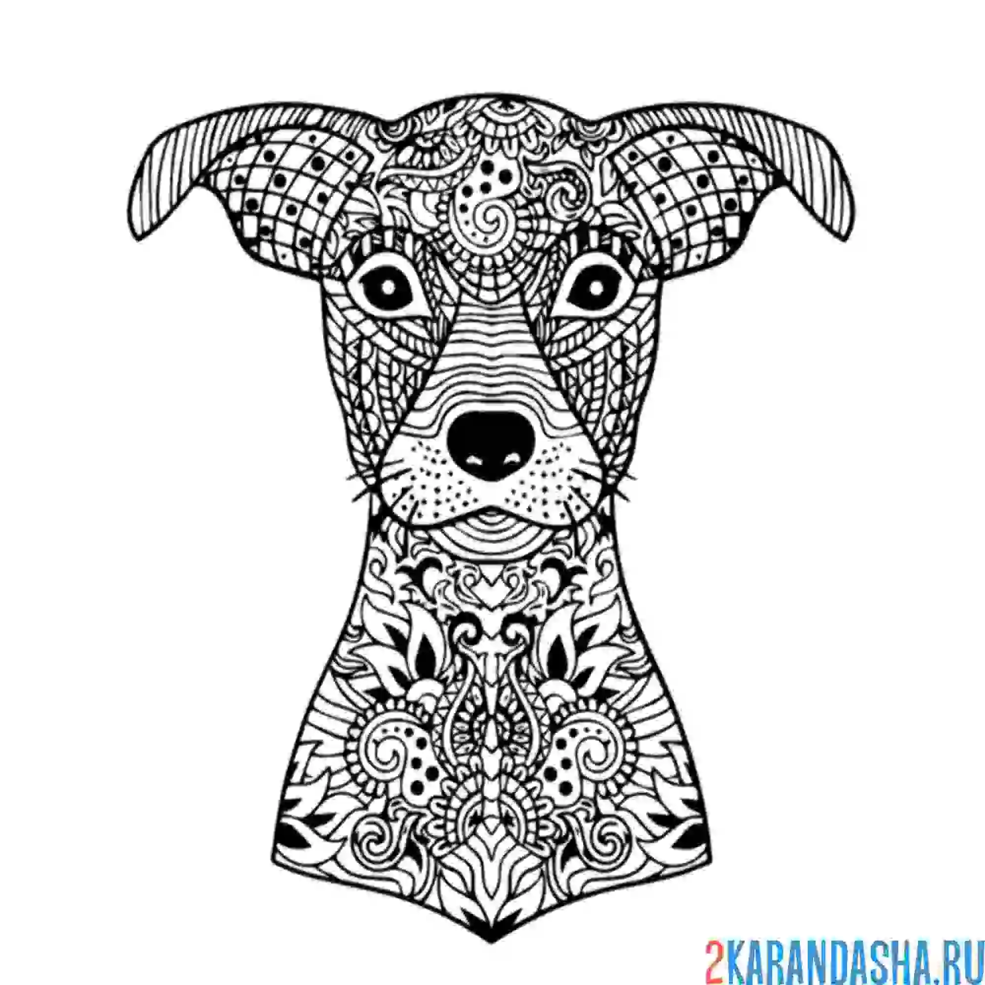 Раскраска собачка голова