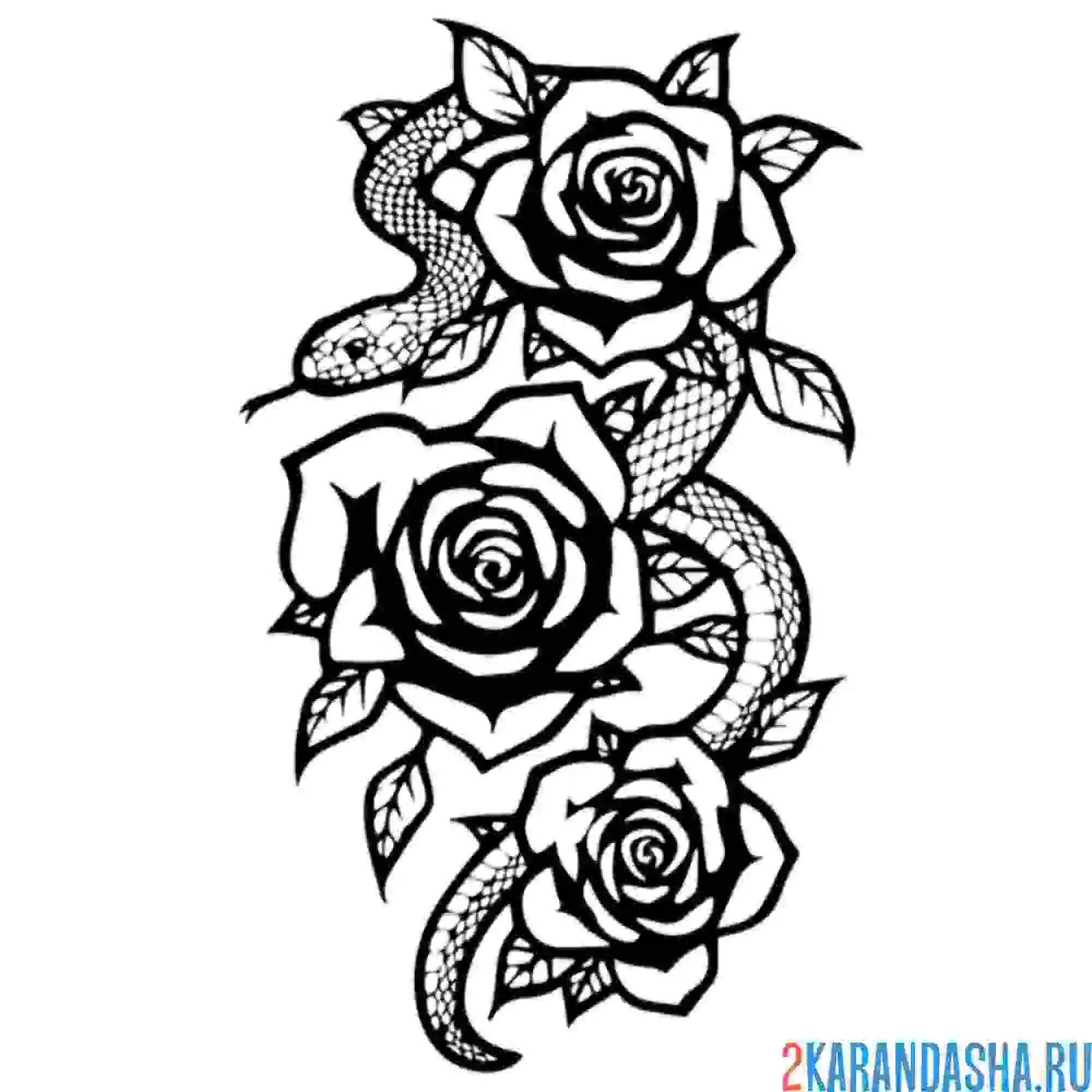 Раскраска змея в розах