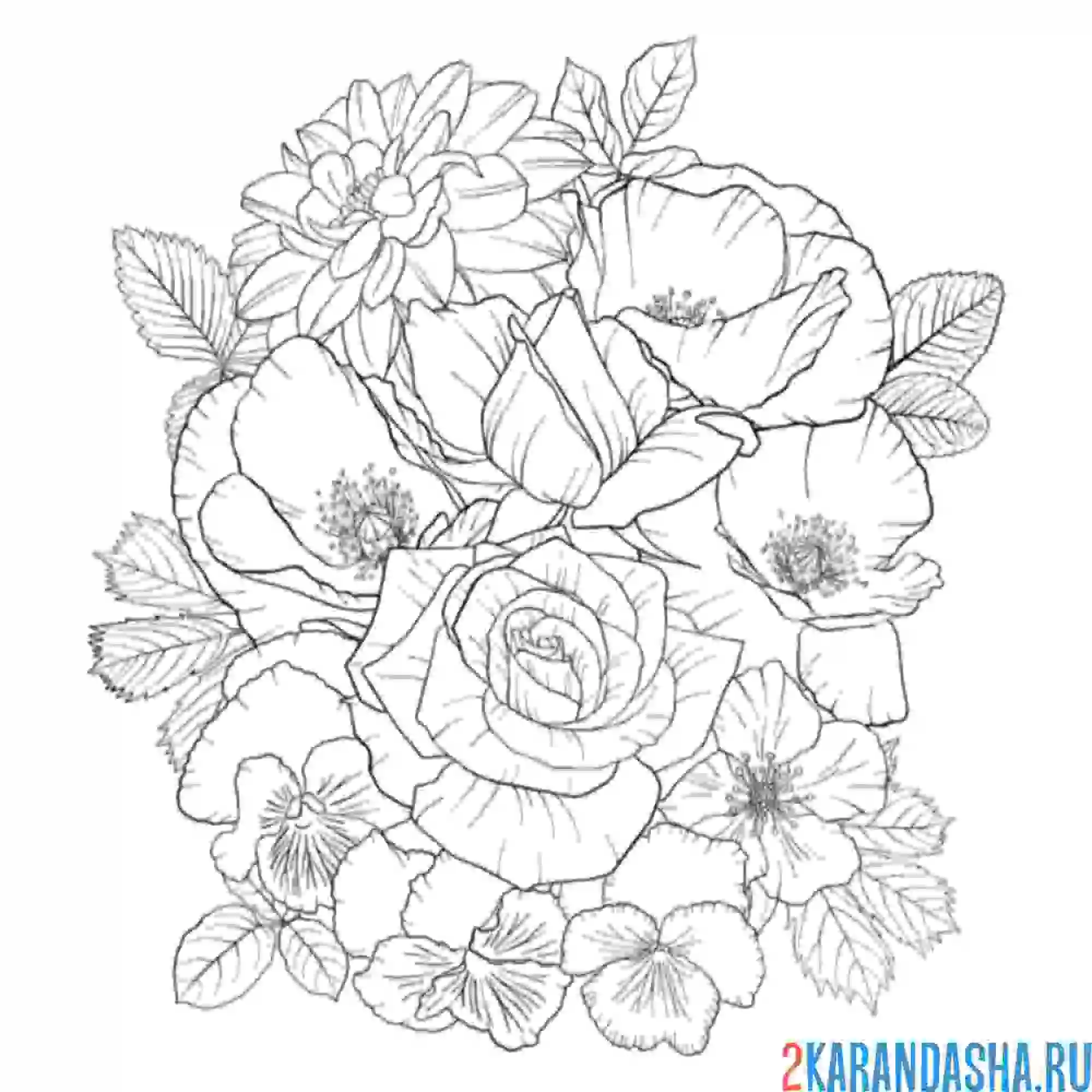 Раскраска разные цветы в букете