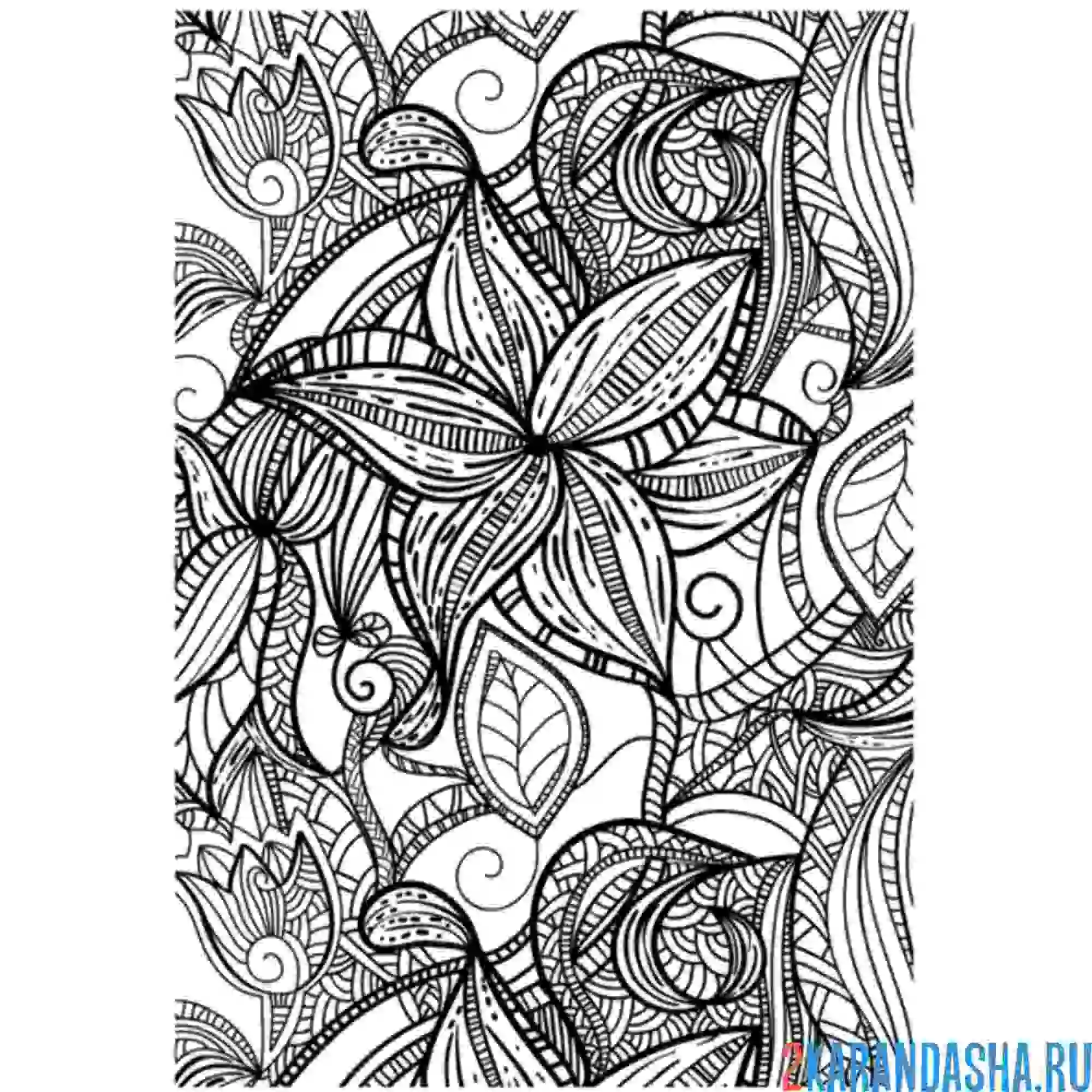 Раскраска цветы в узорах антистрессс