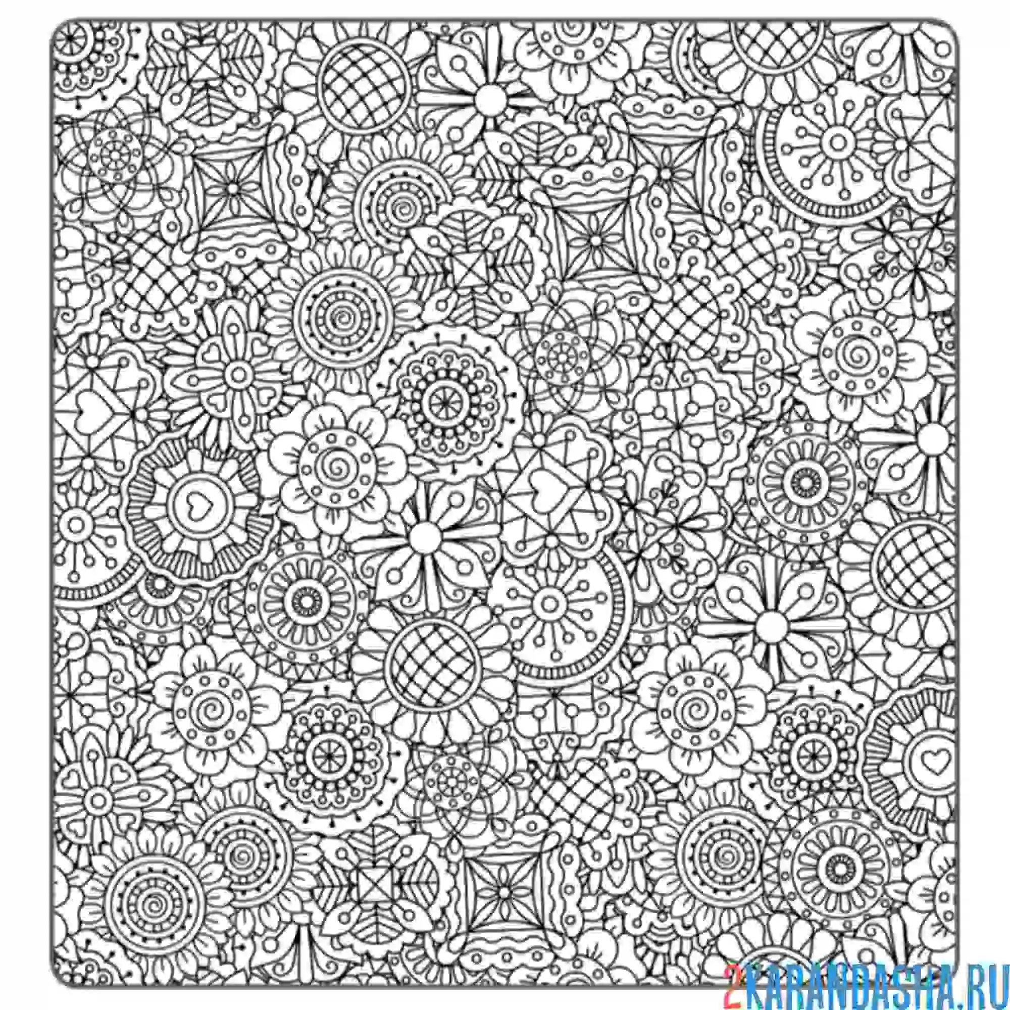 Раскраска цветочные мотивы антистресс