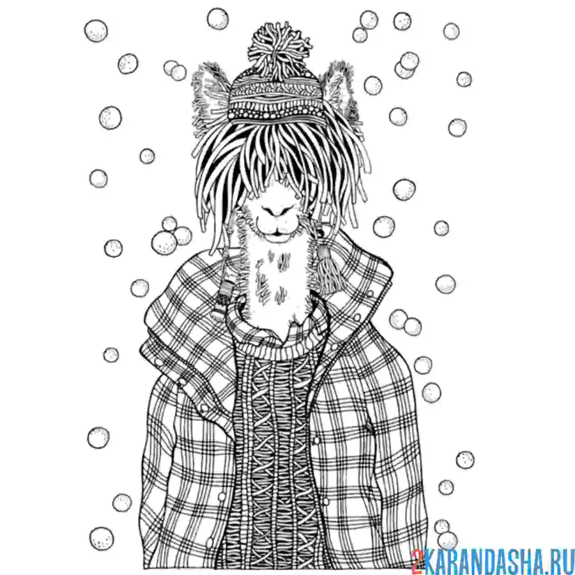 Раскраска лама в рубашке