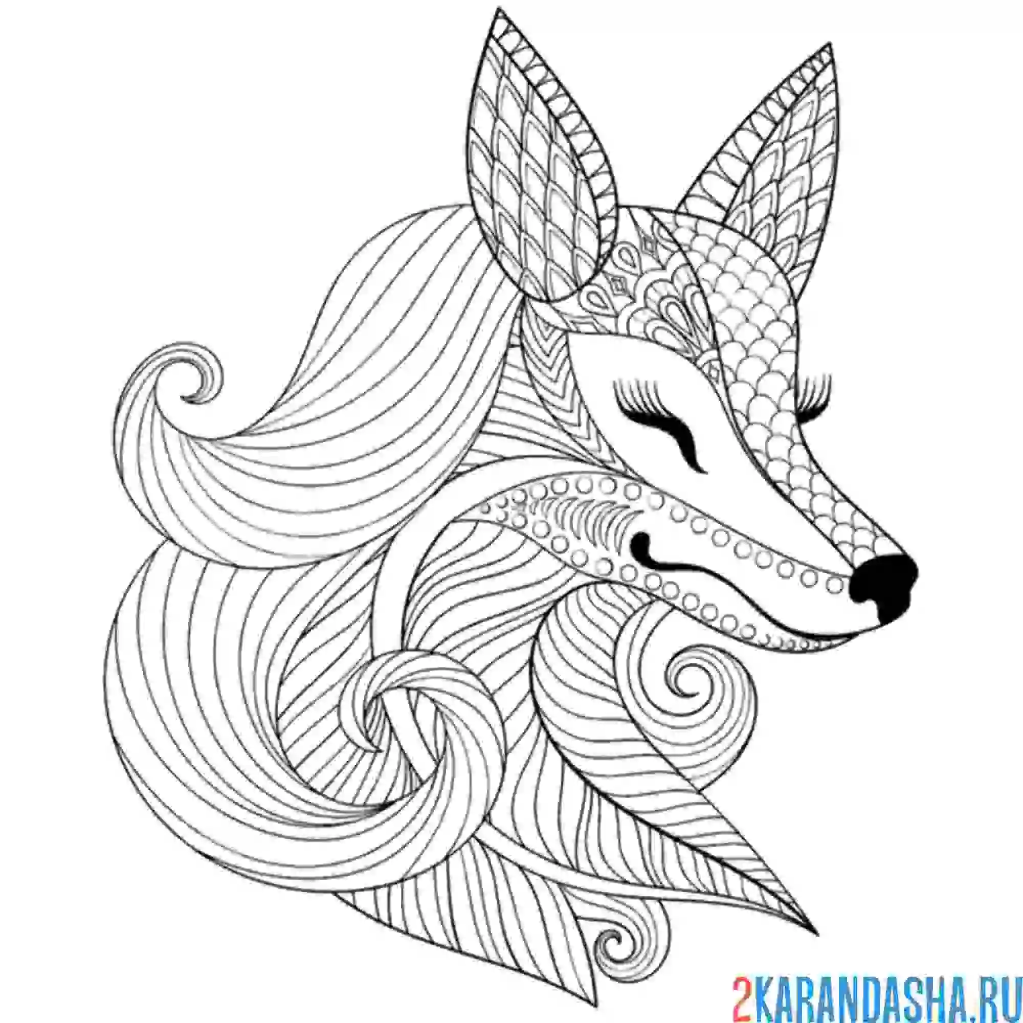 Раскраска хитрая улыбчивая лиса