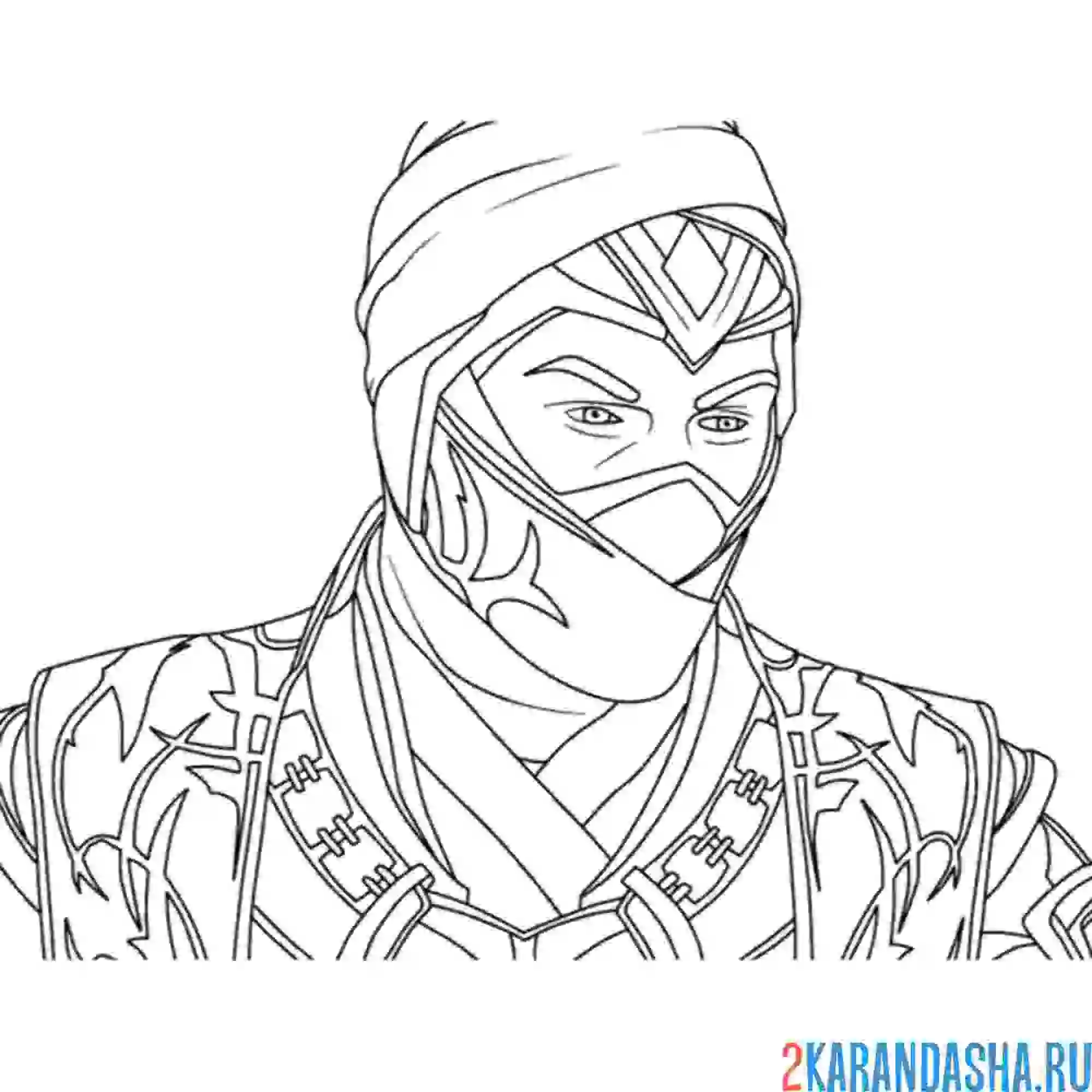 Раскраска рейн голова