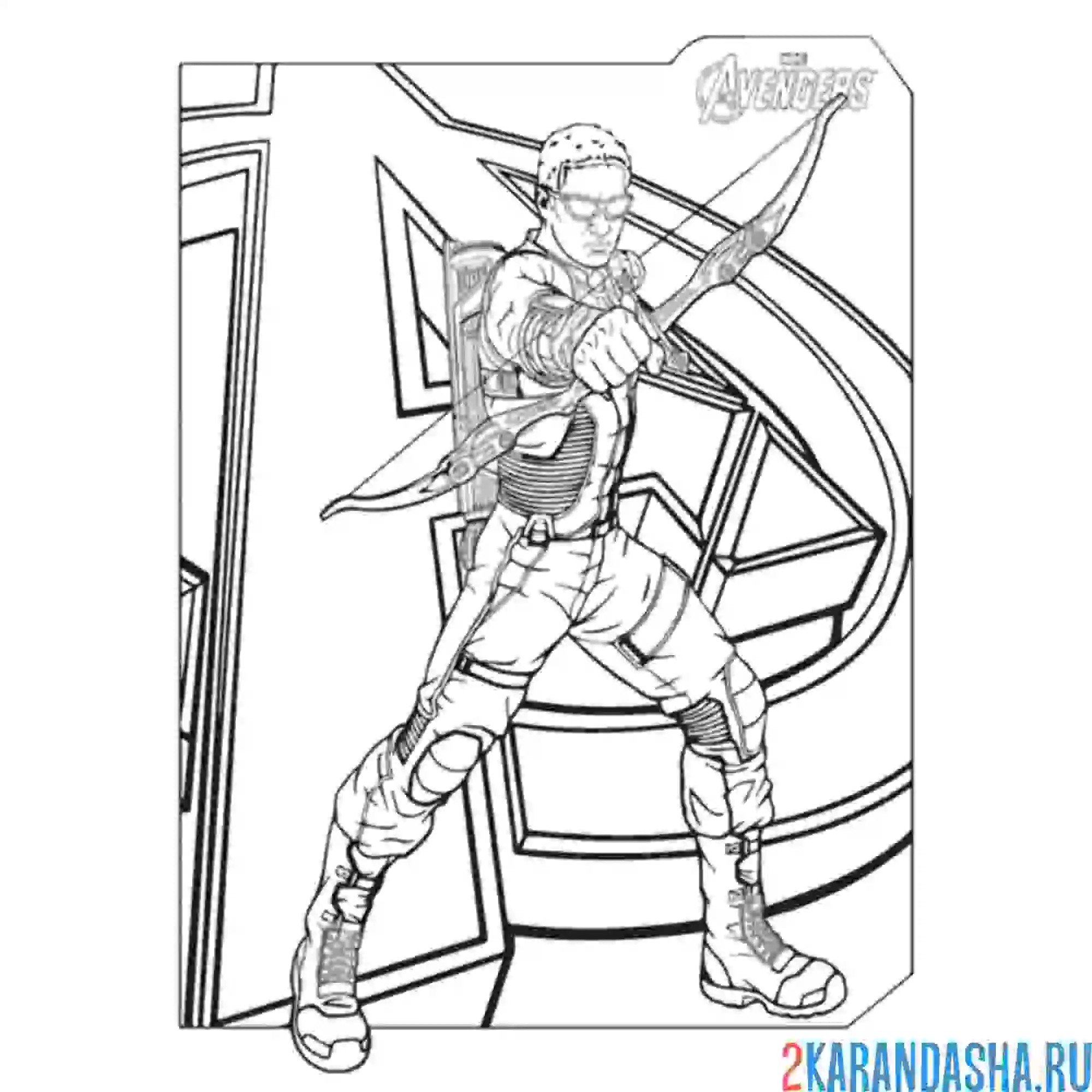 Раскраска соколиный глаз