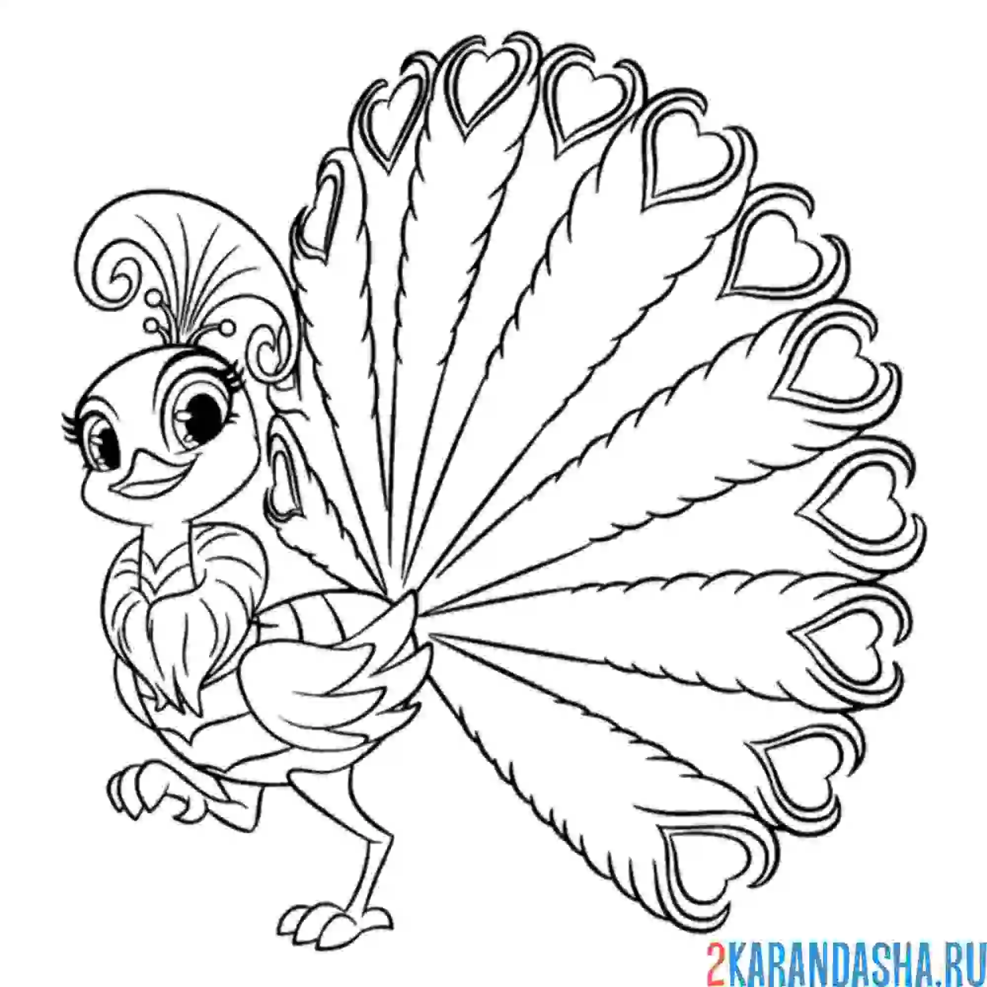 Раскраска ройя павлин