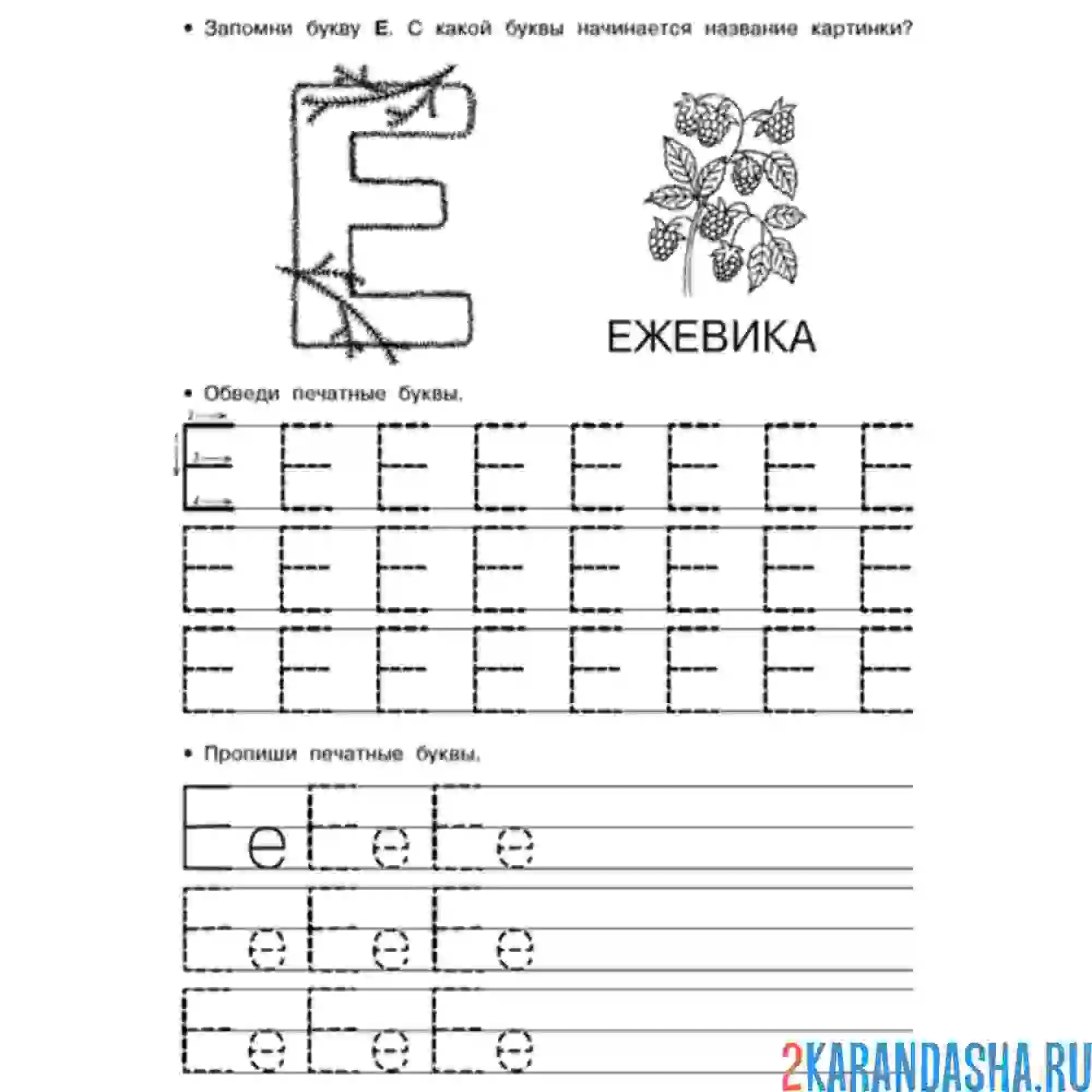 Раскраска напиши букву е