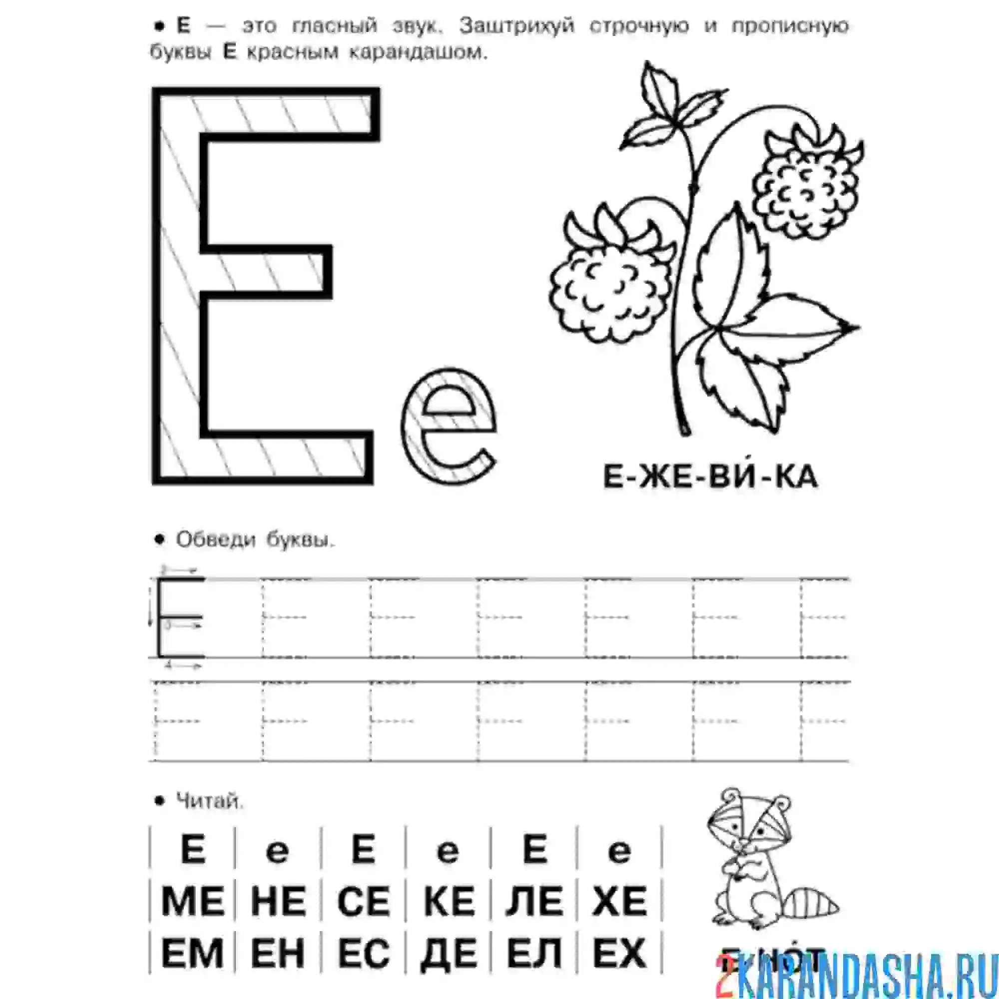 Раскраска пропись печатная буква е