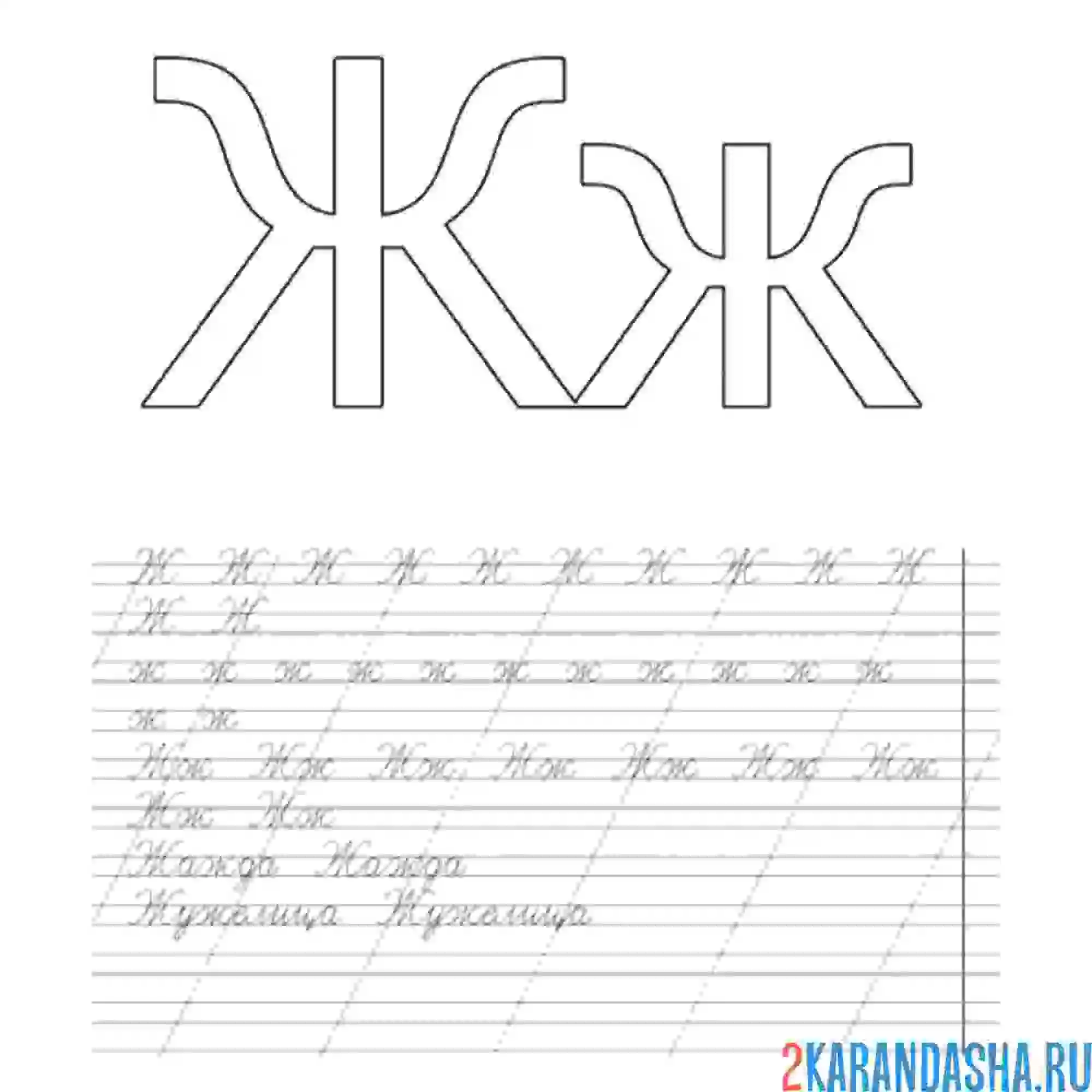 Раскраска буква ж и слова пропись