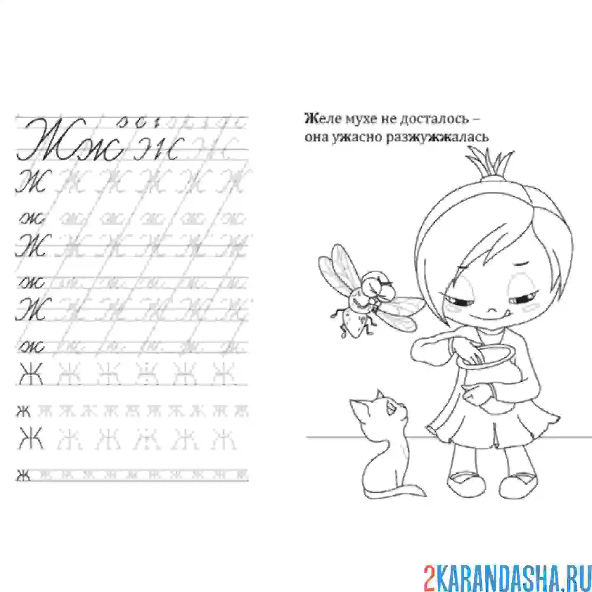 Раскраска пропись дошкольника буква ж